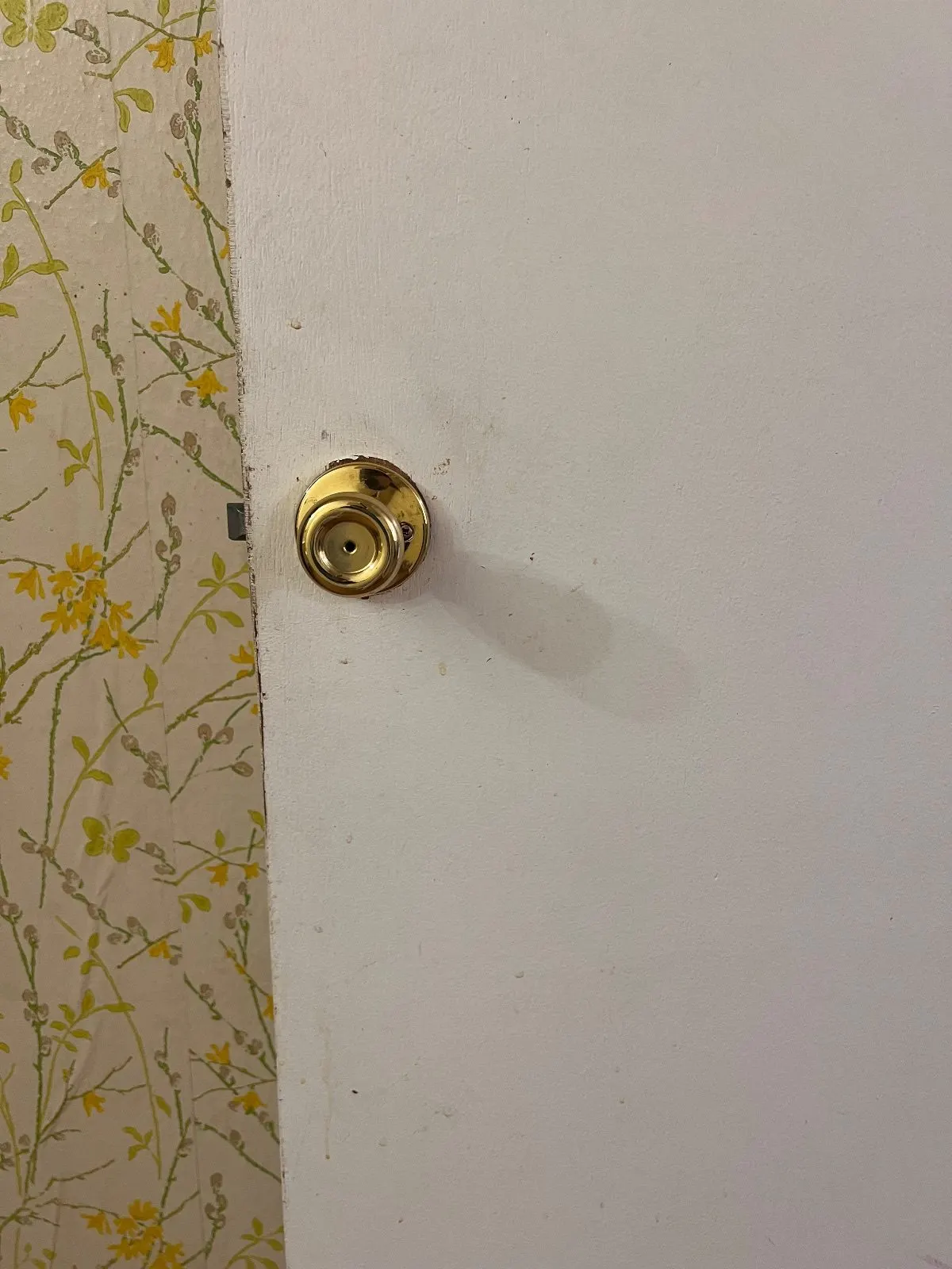 Before — House Cleaning in Davis, CA — August 2026