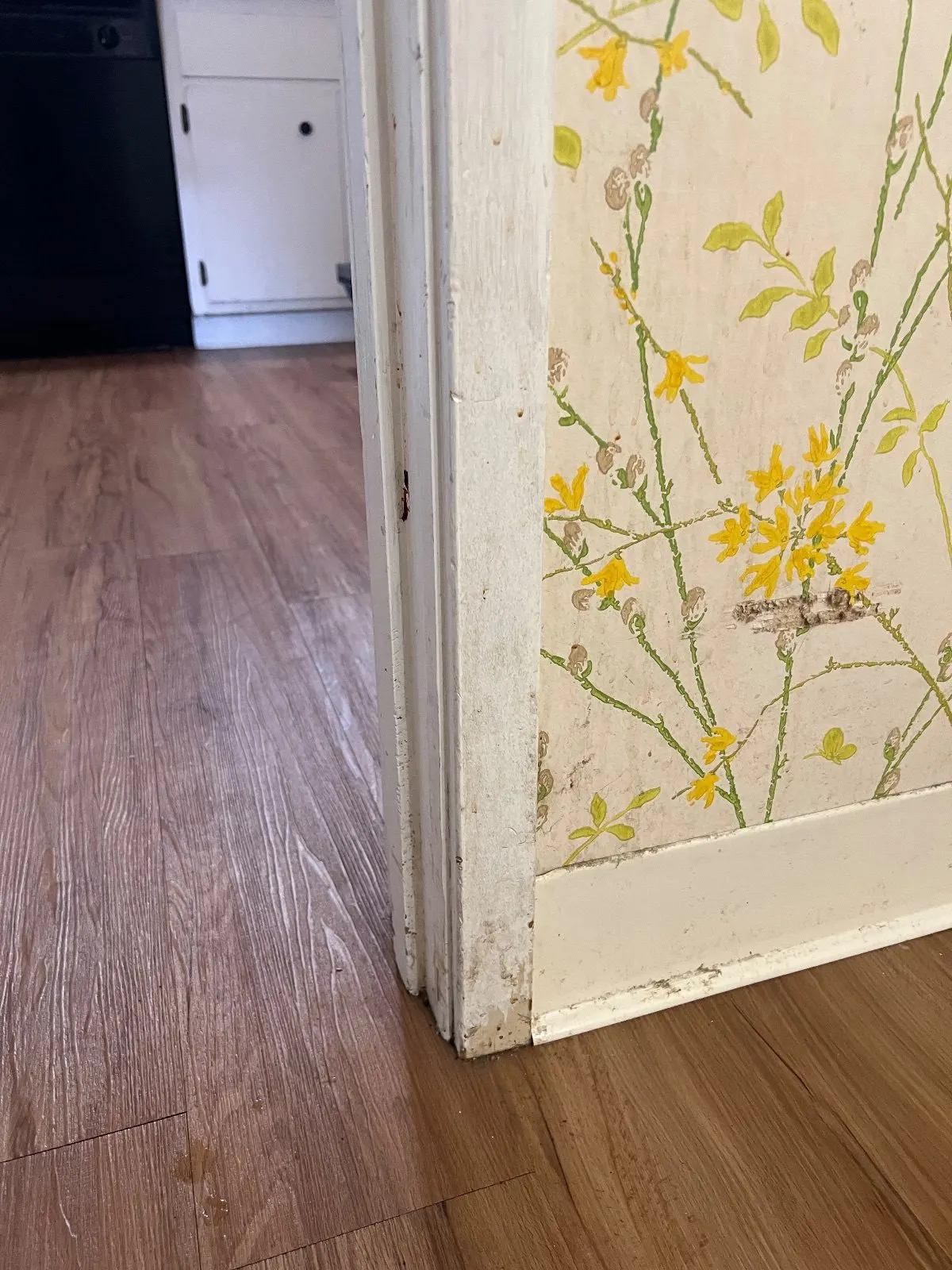 Before — House Cleaning in Davis, CA — August 2026