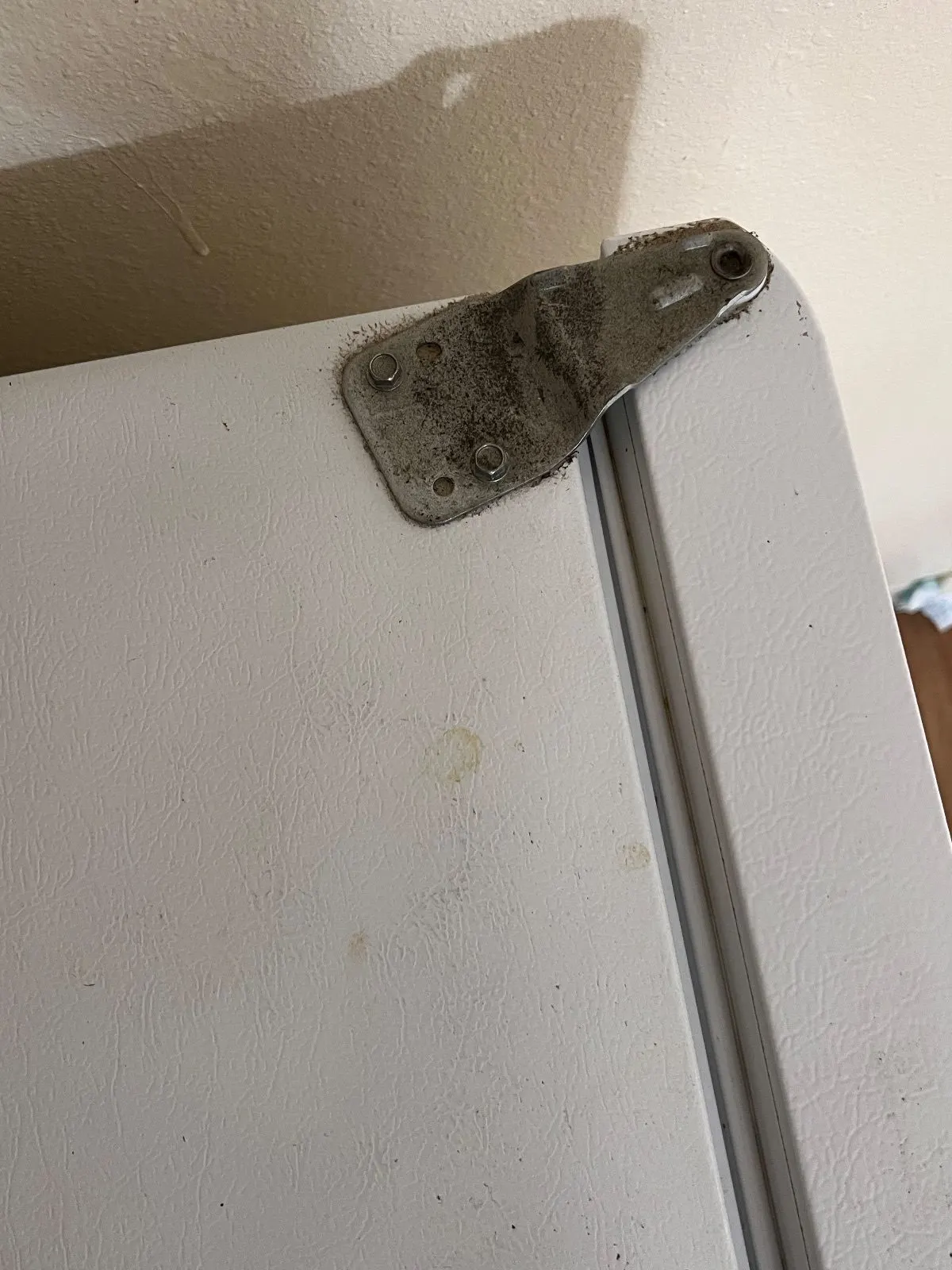 Before — House Cleaning in Davis, CA — August 2026