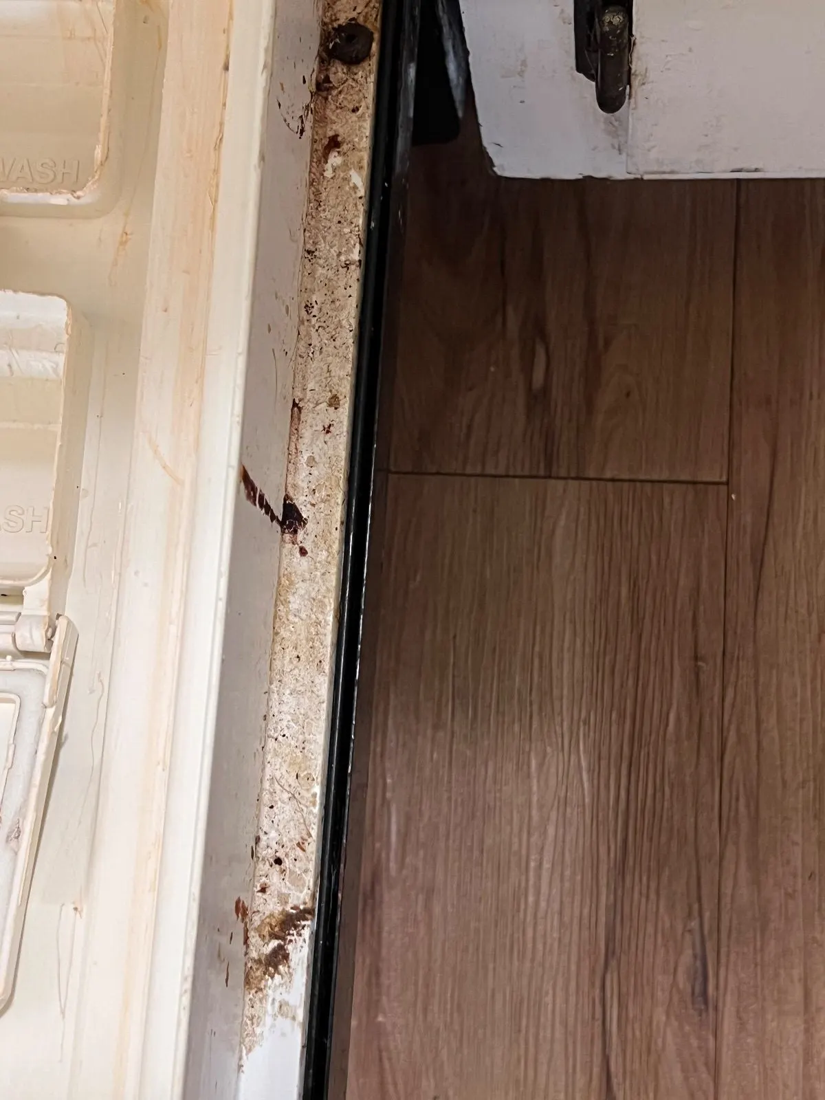 Before — House Cleaning in Davis, CA — August 2026