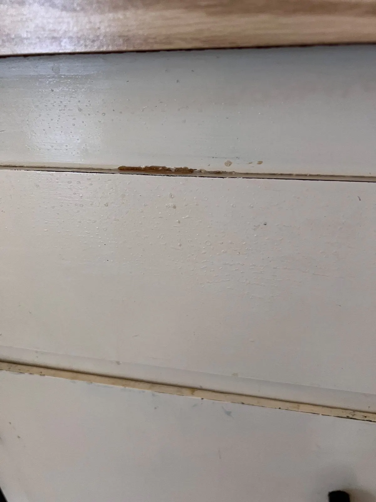 Before — House Cleaning in Davis, CA — August 2026