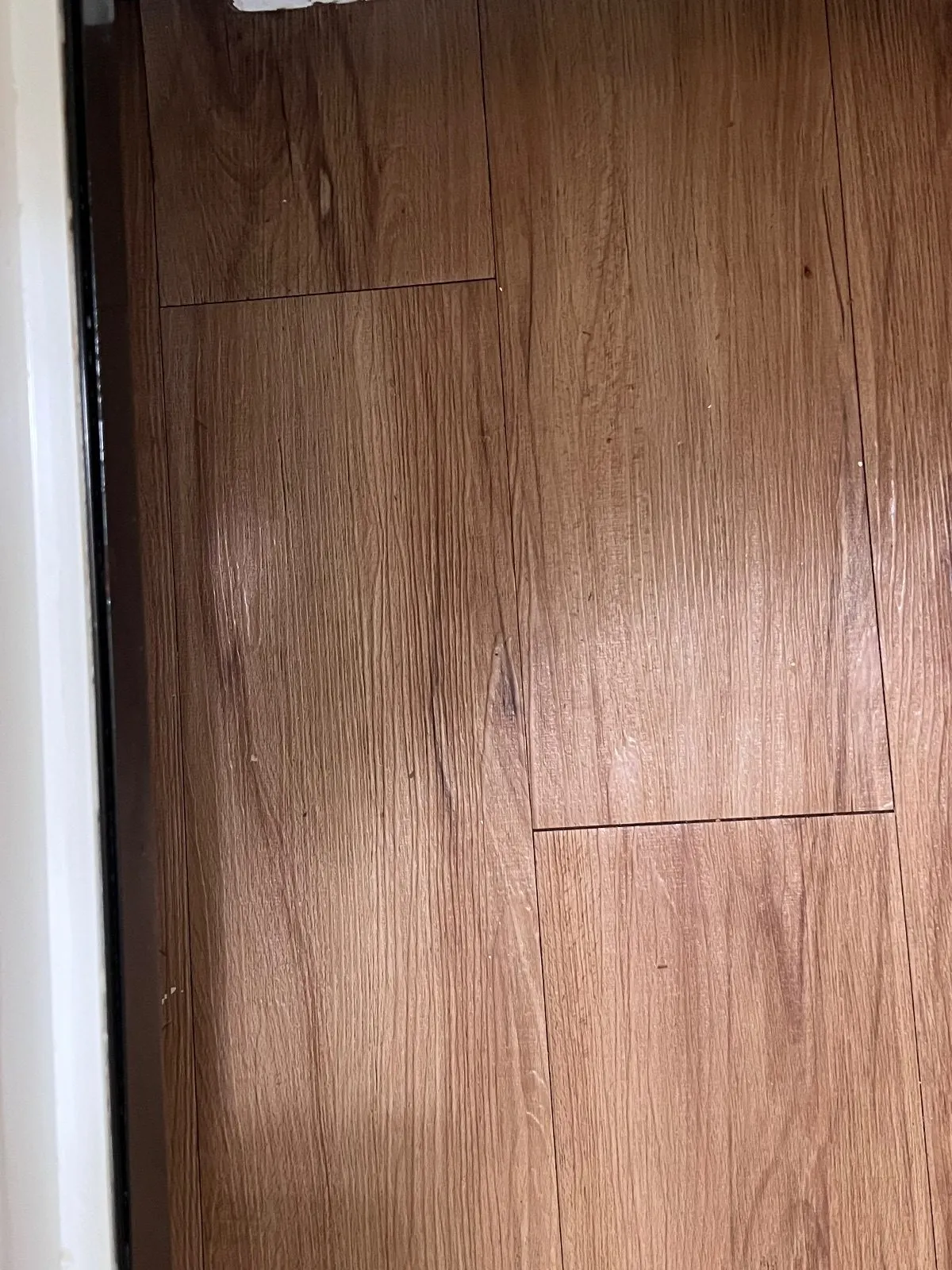 After — House Cleaning in Davis, CA — August 2026