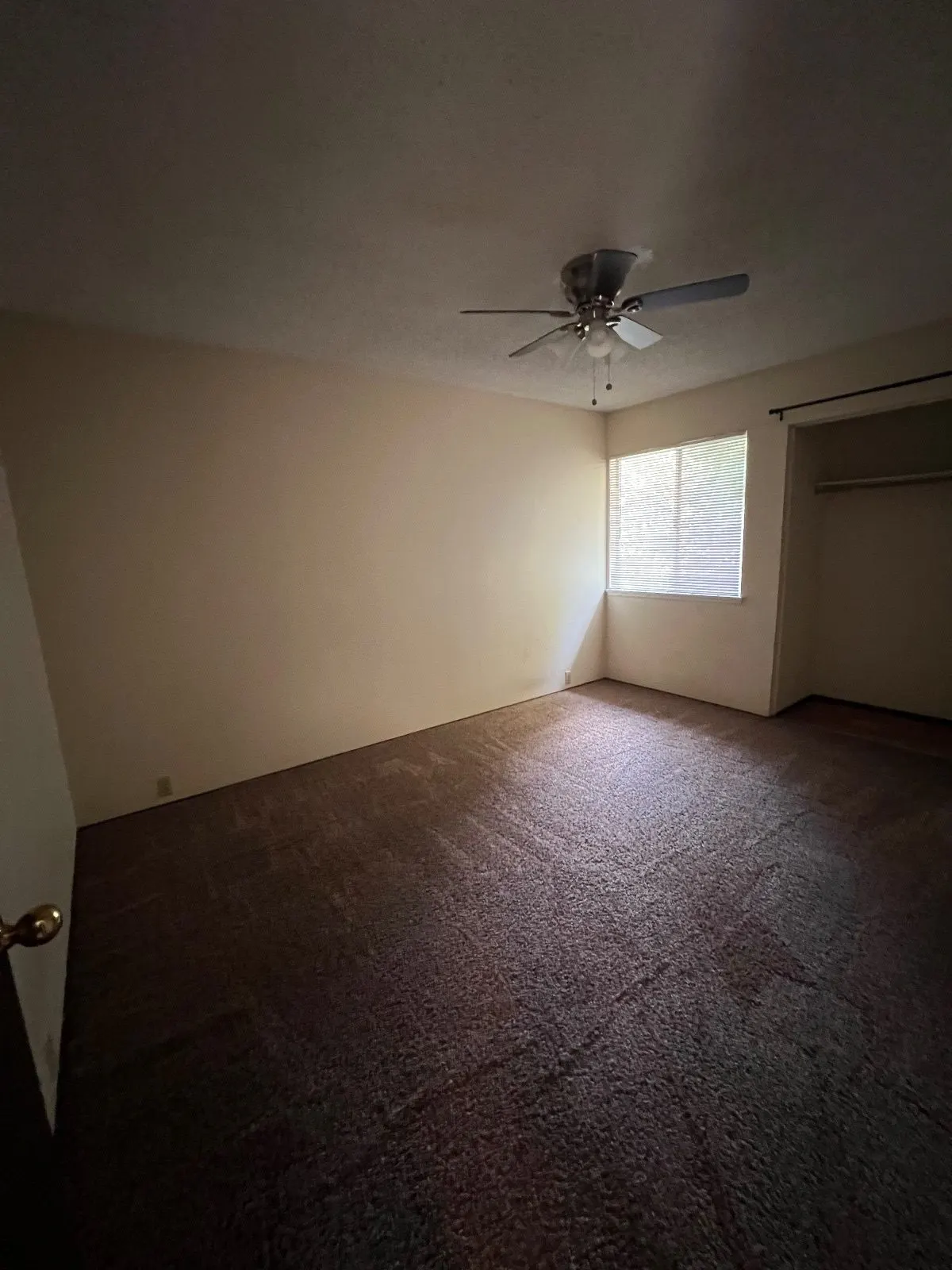 After — House Cleaning in Davis, CA — August 2026