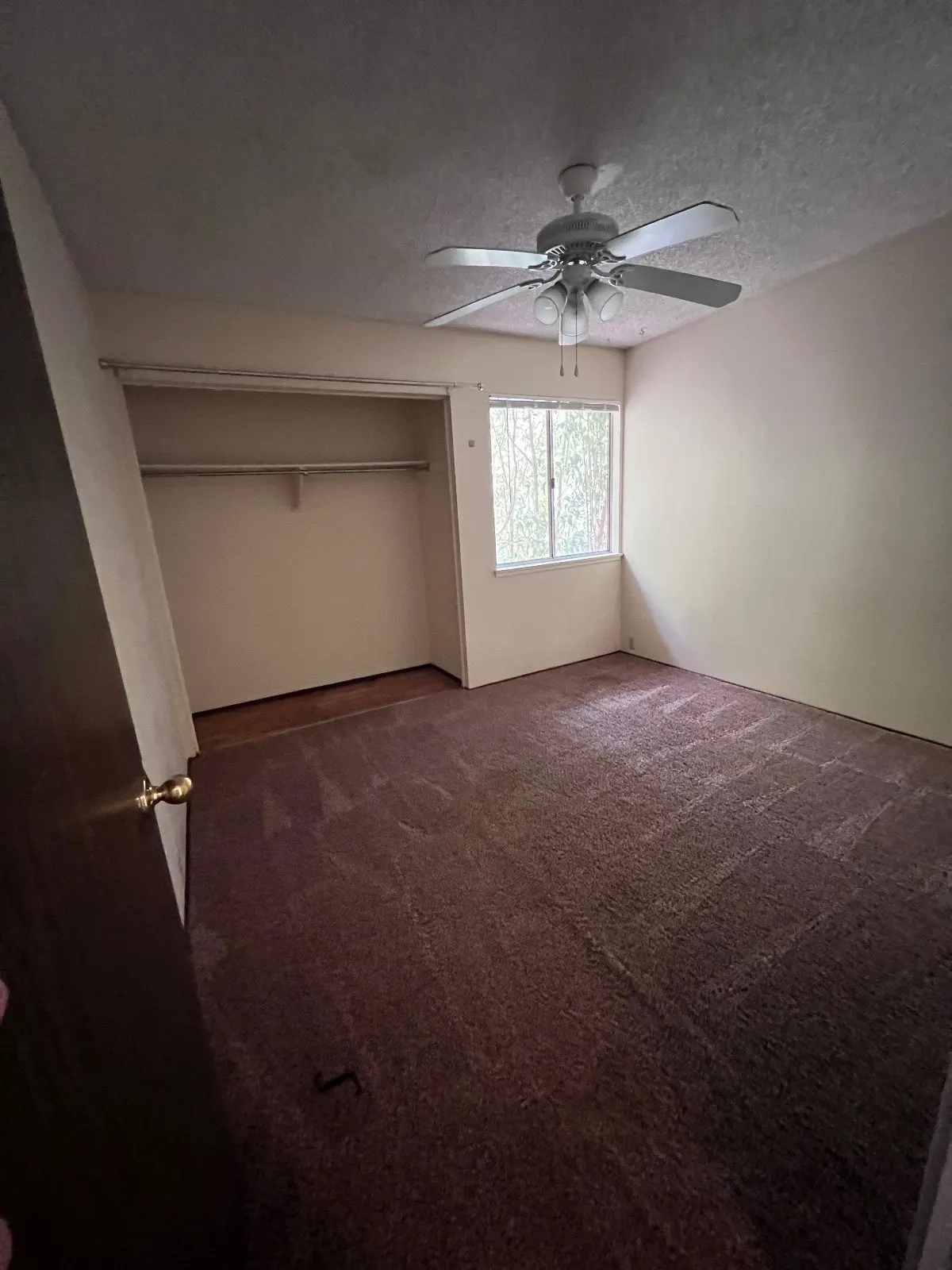 After — House Cleaning in Davis, CA — August 2026