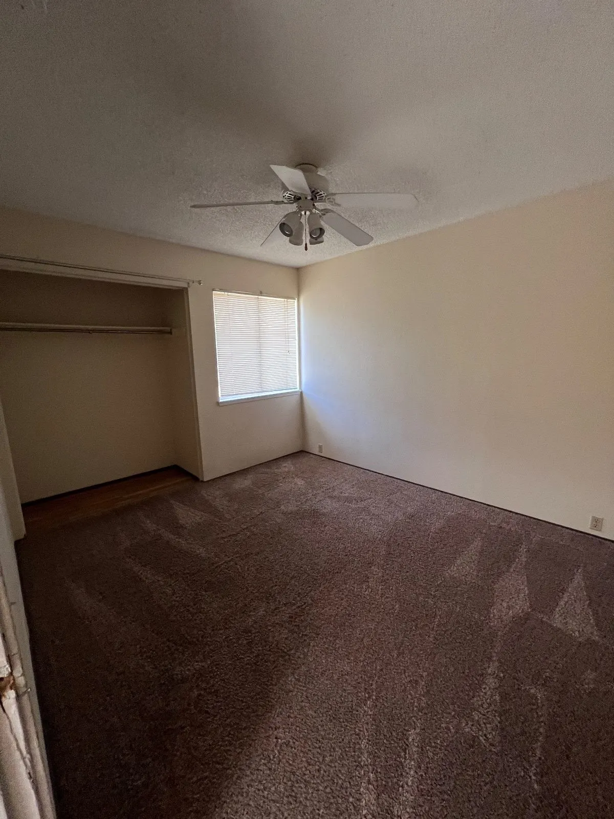 After — House Cleaning in Davis, CA — August 2026