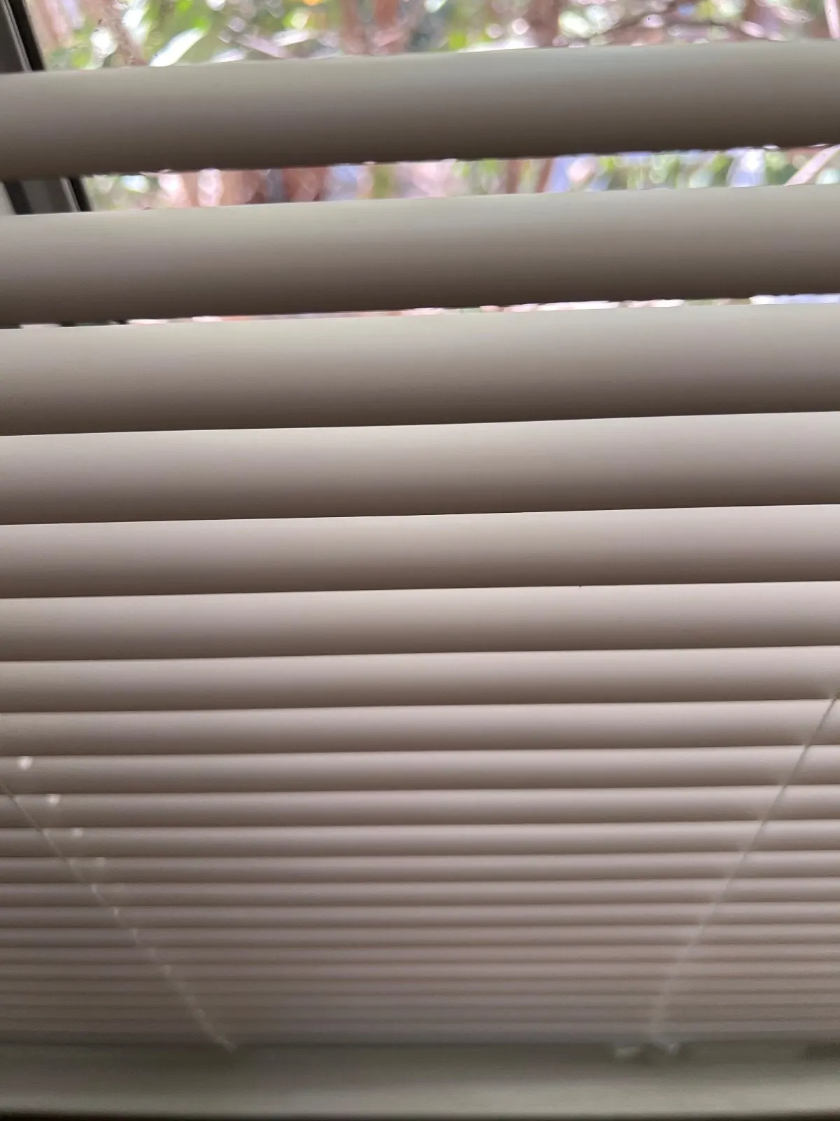After — House Cleaning in Davis, CA — August 2026