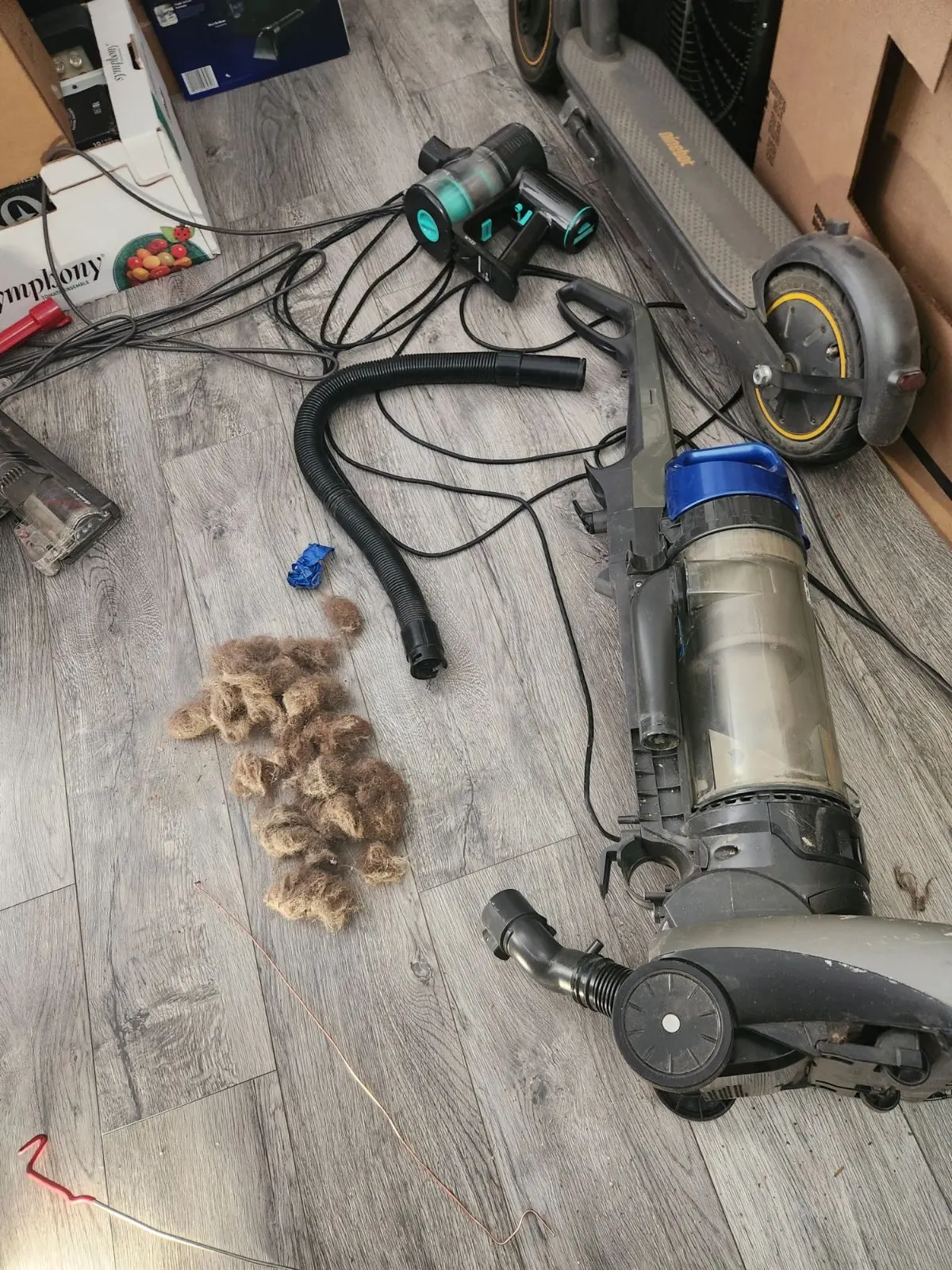 After — House Cleaning in Sacramento, CA — August 2026