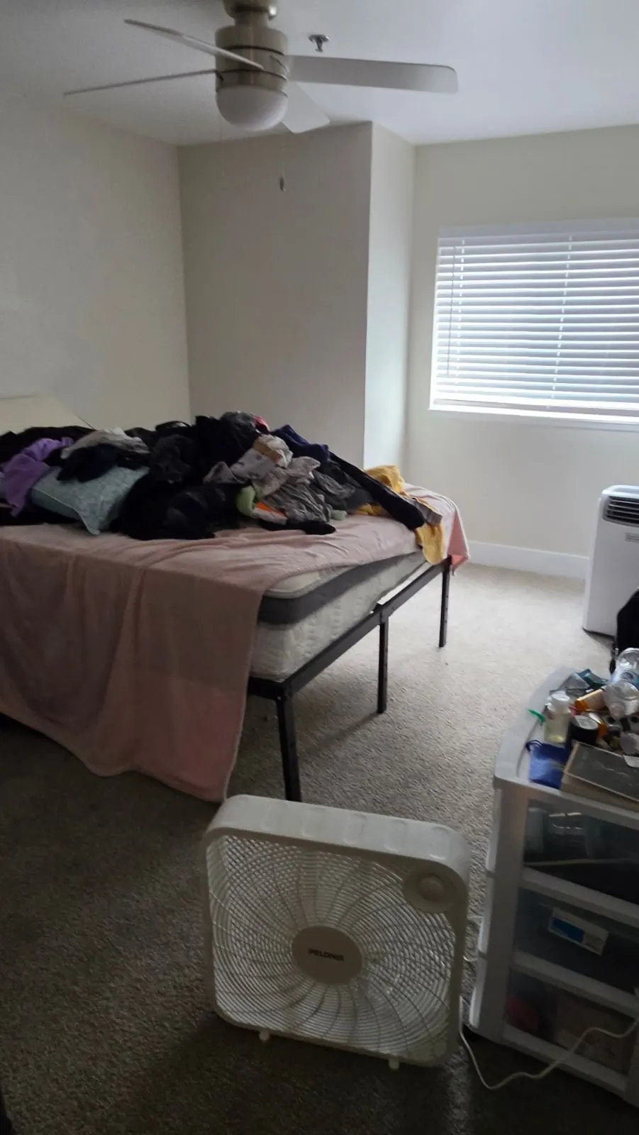 After — House Cleaning in Vancouver, WA — August 2026