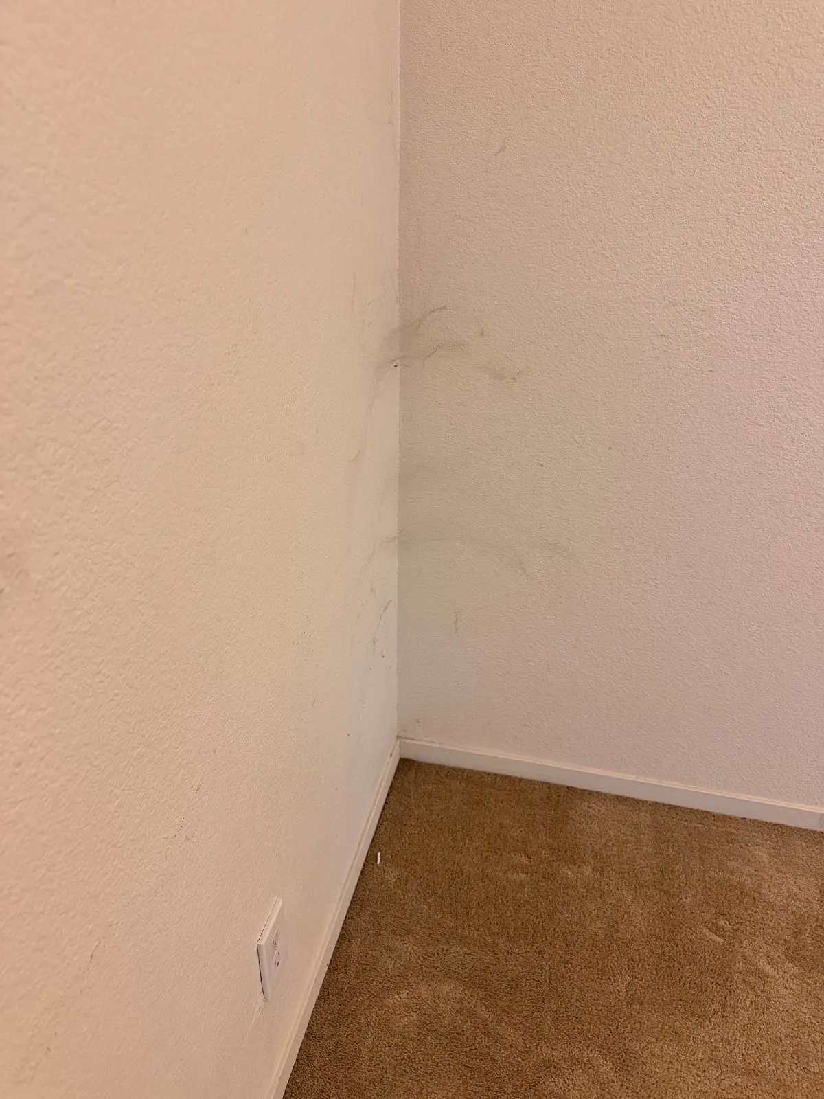 Before — House Cleaning in Sacramento, CA — August 2026