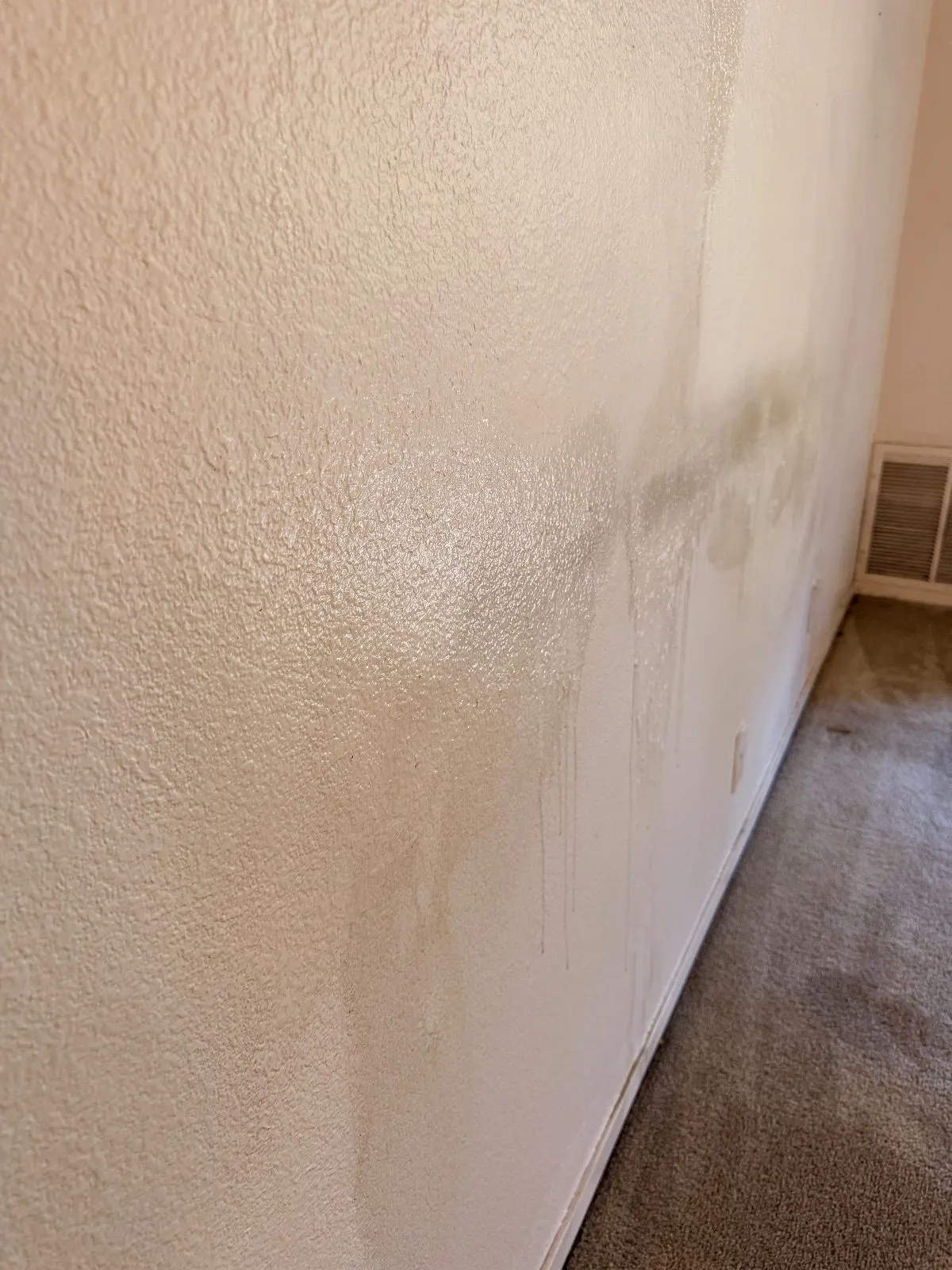 Before — House Cleaning in Sacramento, CA — August 2026