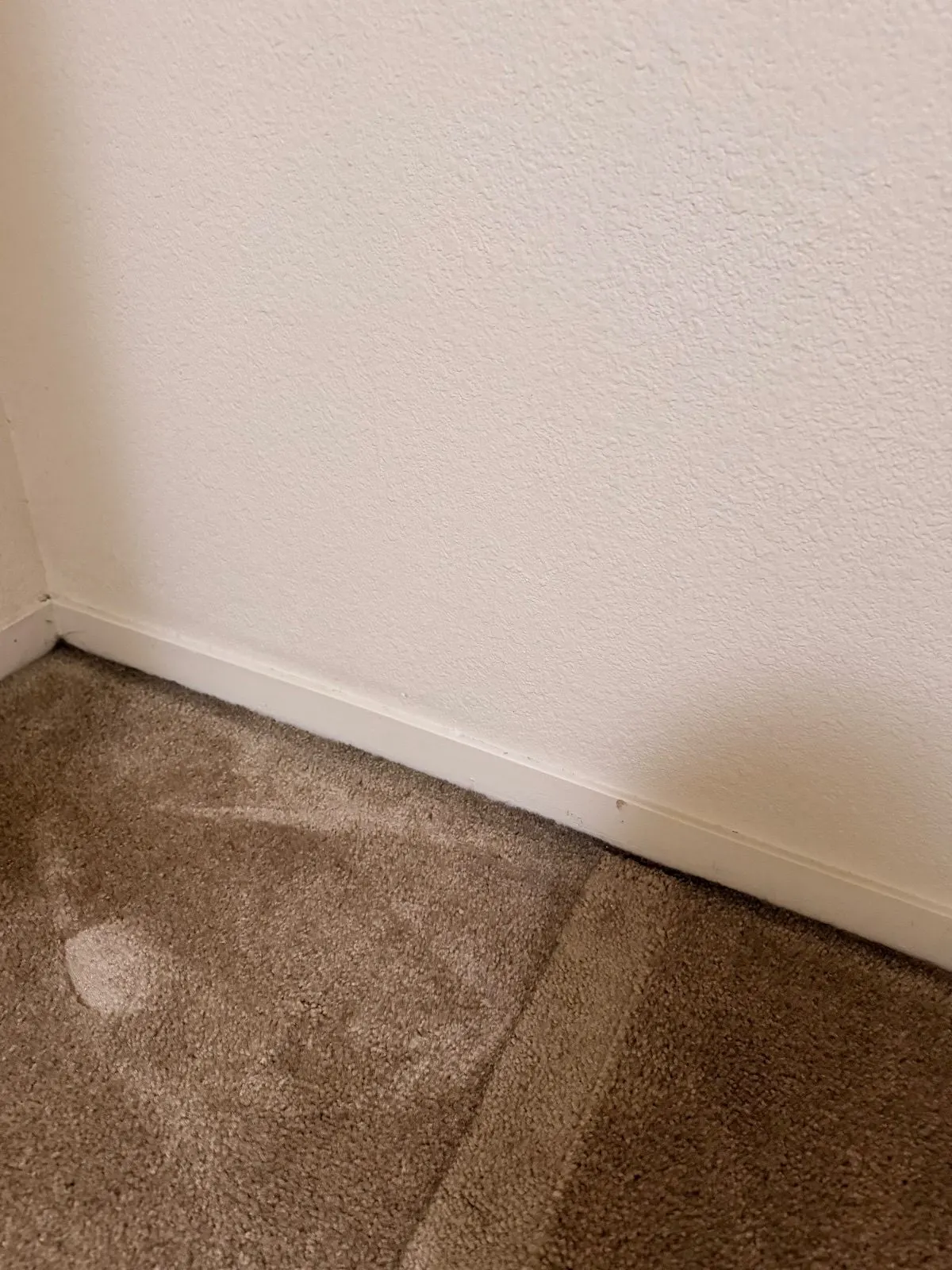 After — House Cleaning in Sacramento, CA — August 2026