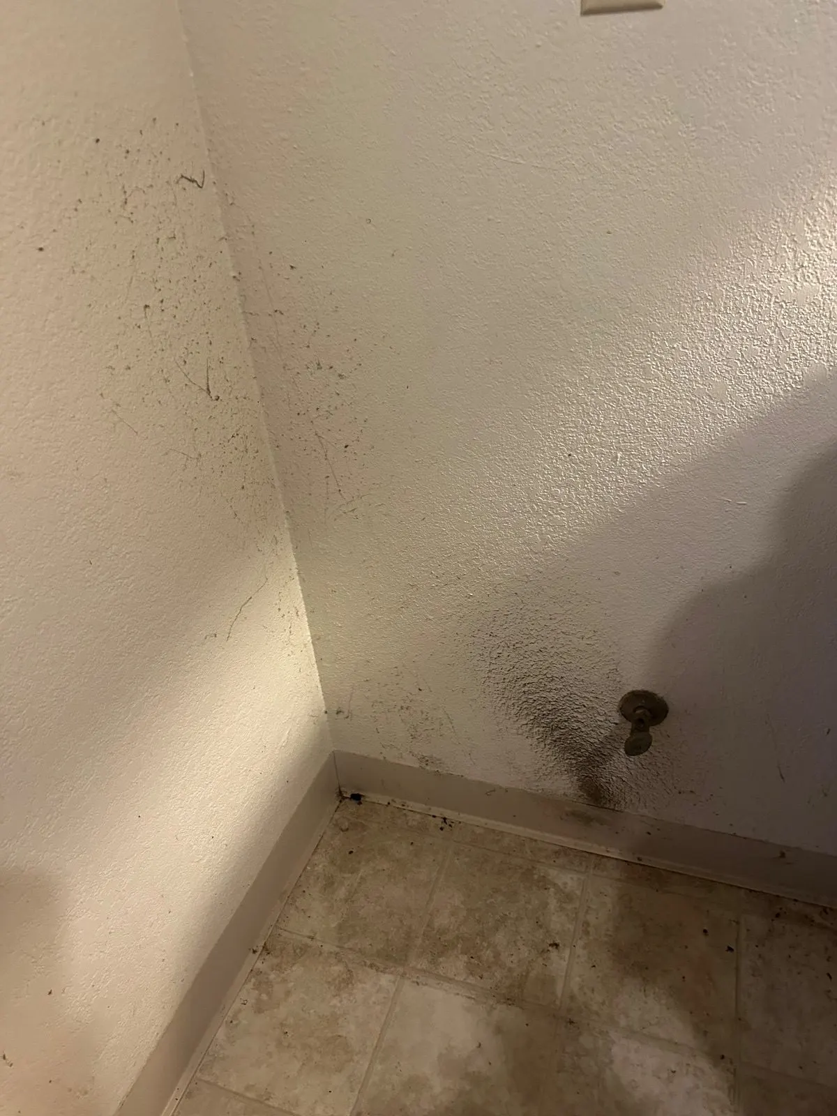 Before — House Cleaning in Sacramento, CA — August 2026