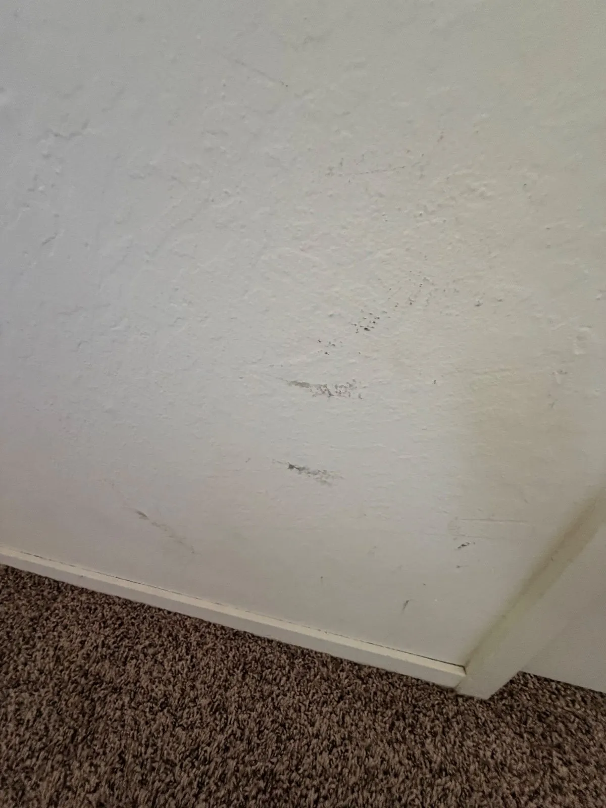 Before — House Cleaning in Davis, CA — August 2026