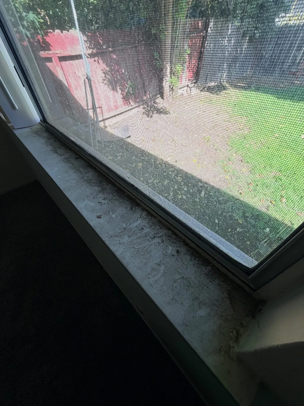 Before — House Cleaning in Davis, CA — August 2026