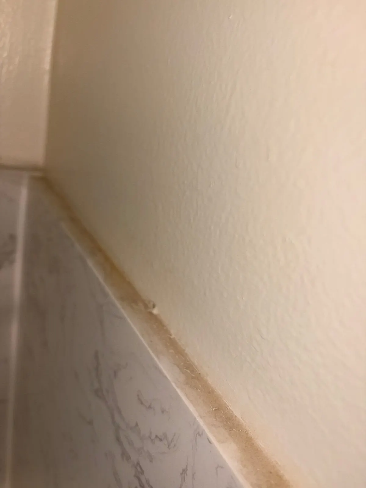 Before — House Cleaning in Davis, CA — August 2026
