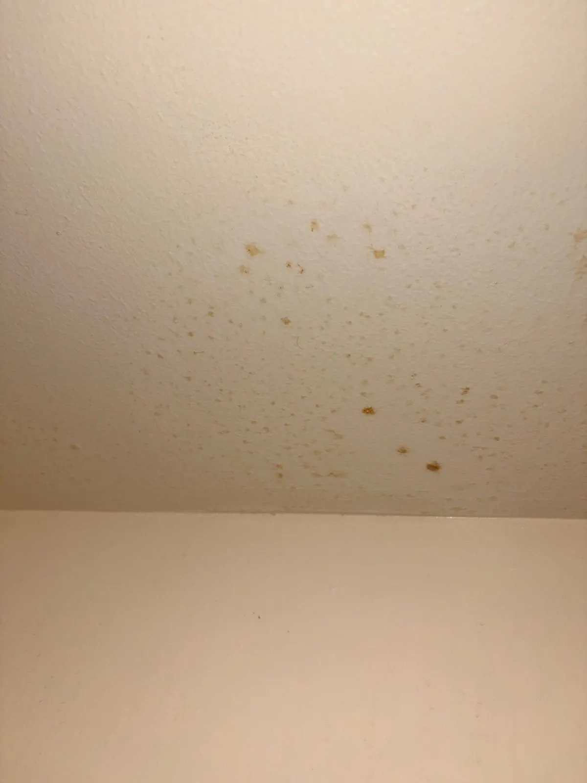 Before — House Cleaning in Davis, CA — August 2026