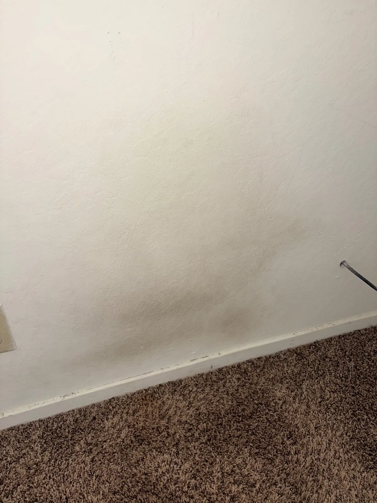Before — House Cleaning in Davis, CA — August 2026