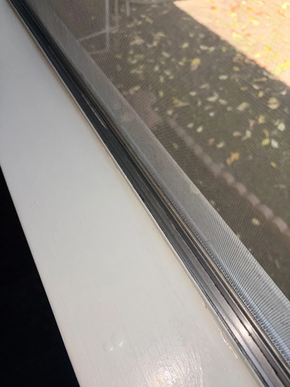 After — House Cleaning in Davis, CA — August 2026