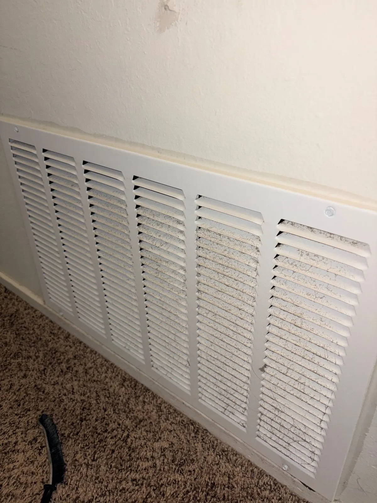 Before — House Cleaning in Davis, CA — August 2026