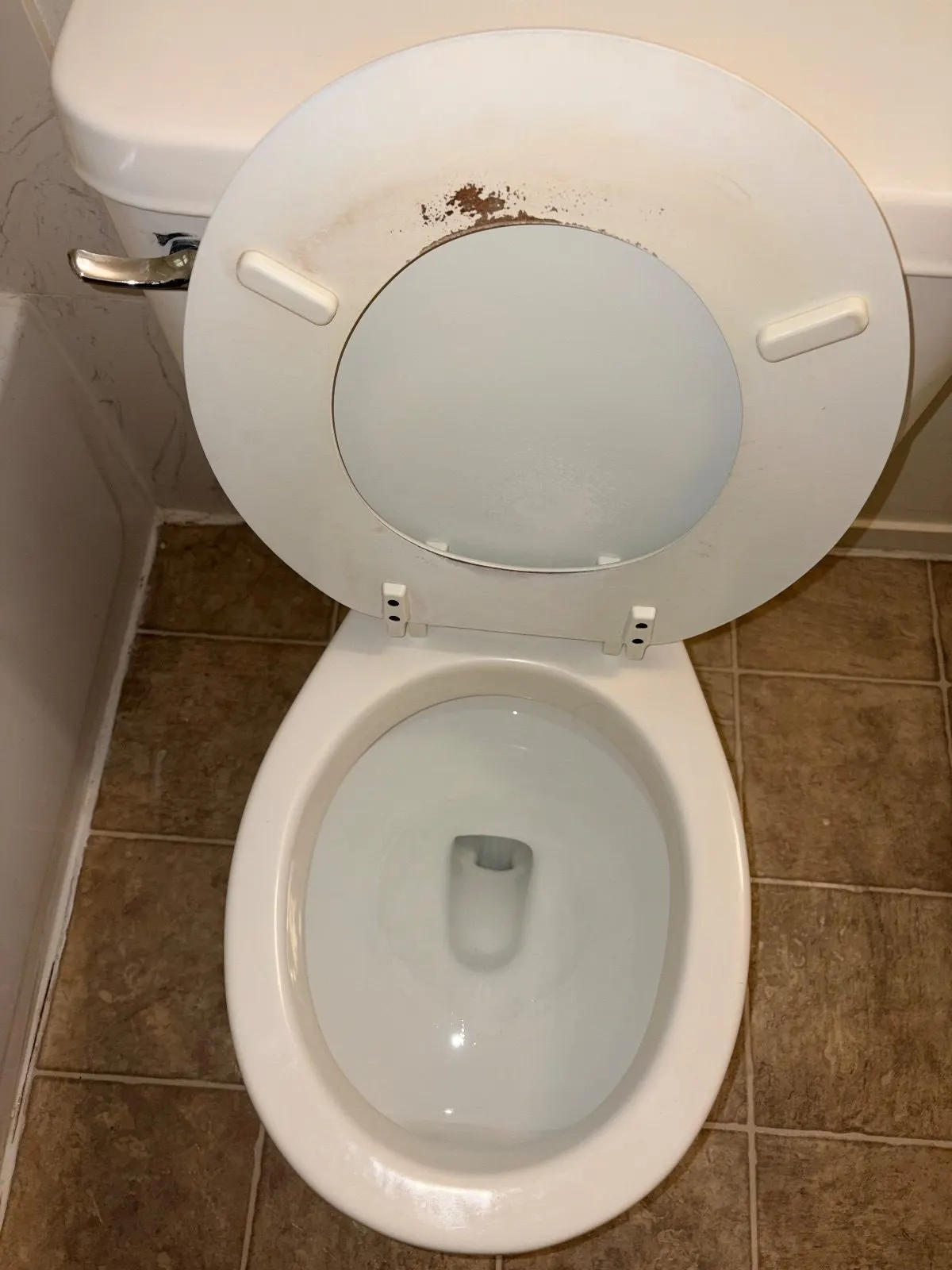 After — House Cleaning in Davis, CA — August 2026