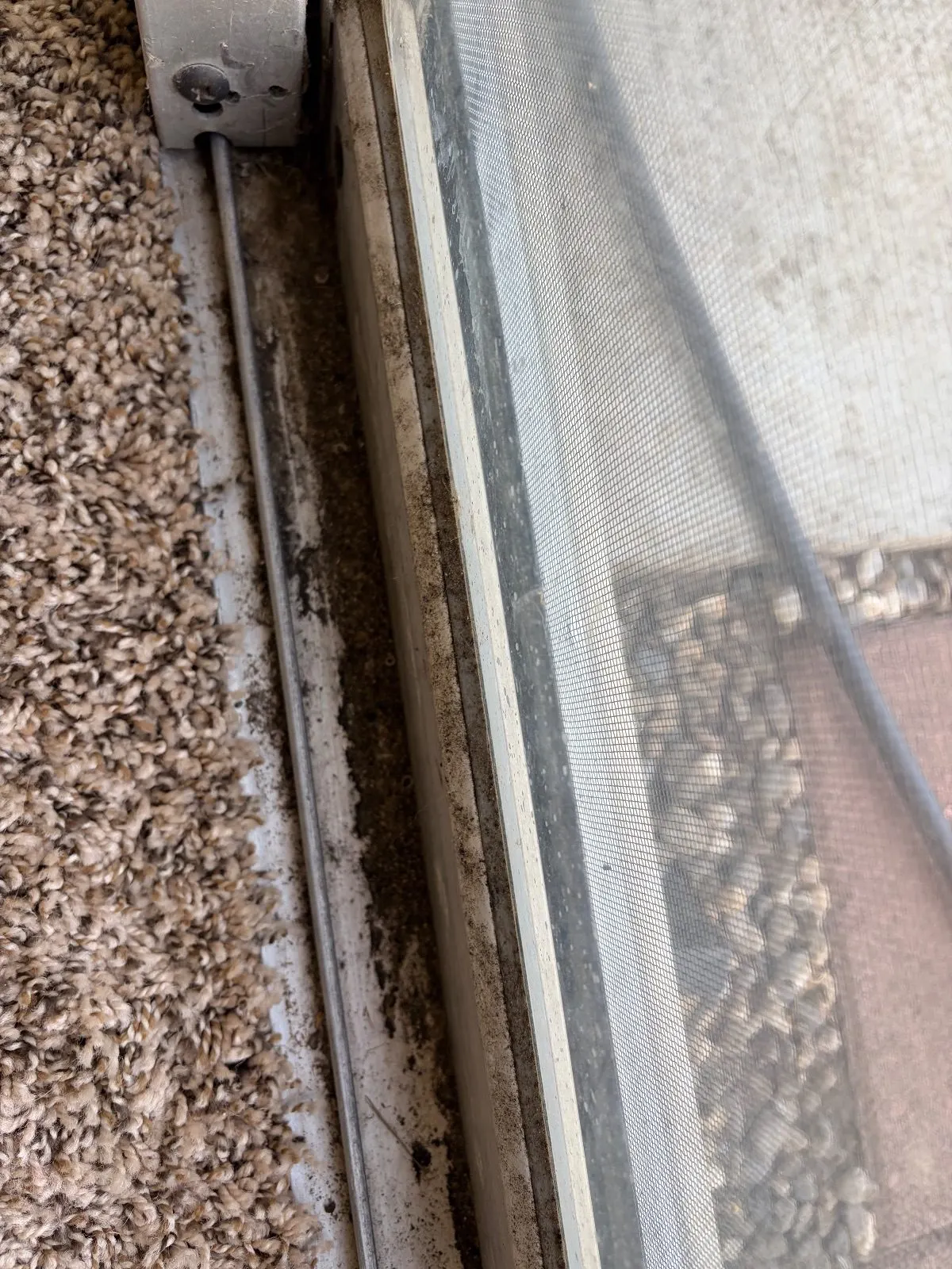Before — House Cleaning in Davis, CA — August 2026