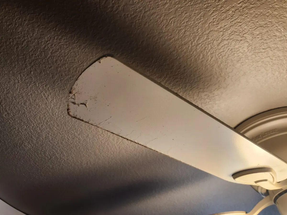 After — House Cleaning in Sacramento, CA — August 2026