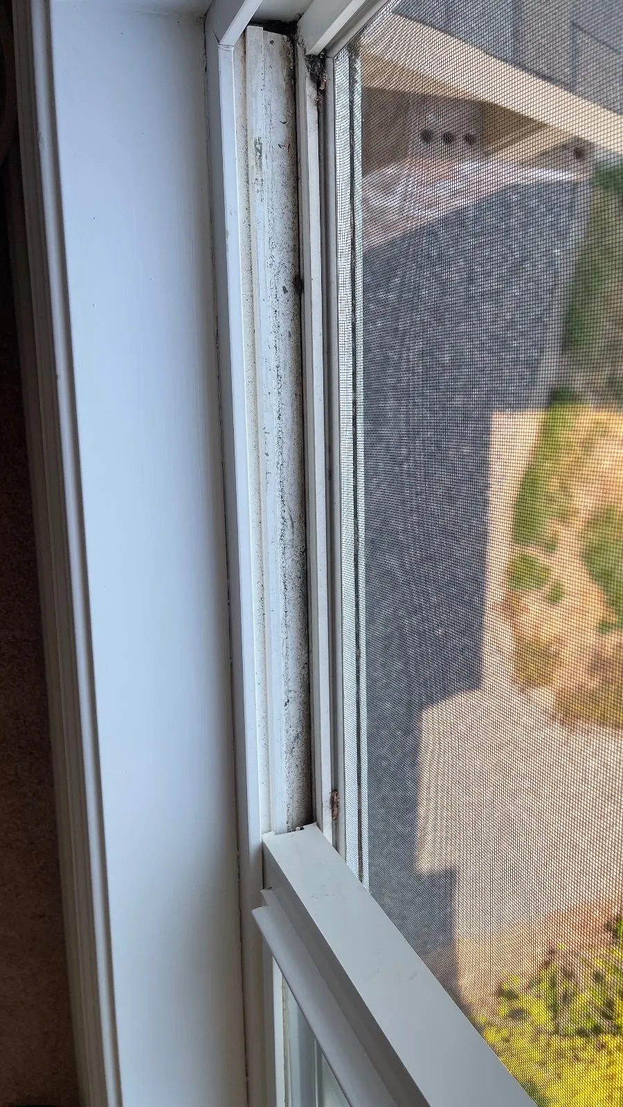 Before — House Cleaning in Camas, WA — August 2026