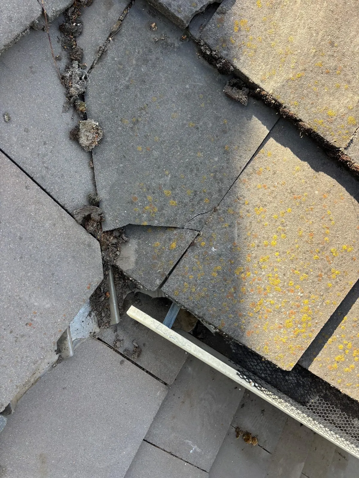 Before — Gutter Cleaning and Maintenance in Sacramento, CA — August 2026