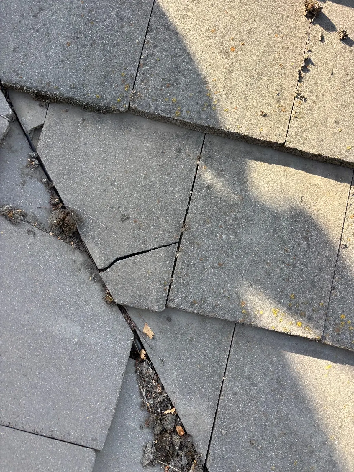 Before — Gutter Cleaning and Maintenance in Sacramento, CA — August 2026