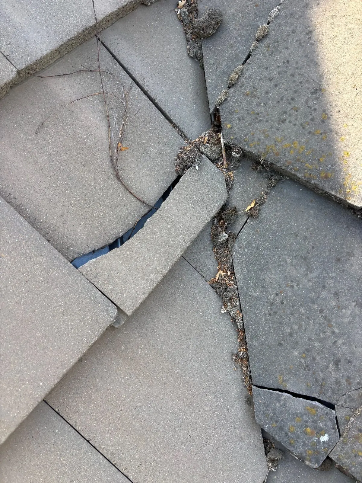 Before — Gutter Cleaning and Maintenance in Sacramento, CA — August 2026