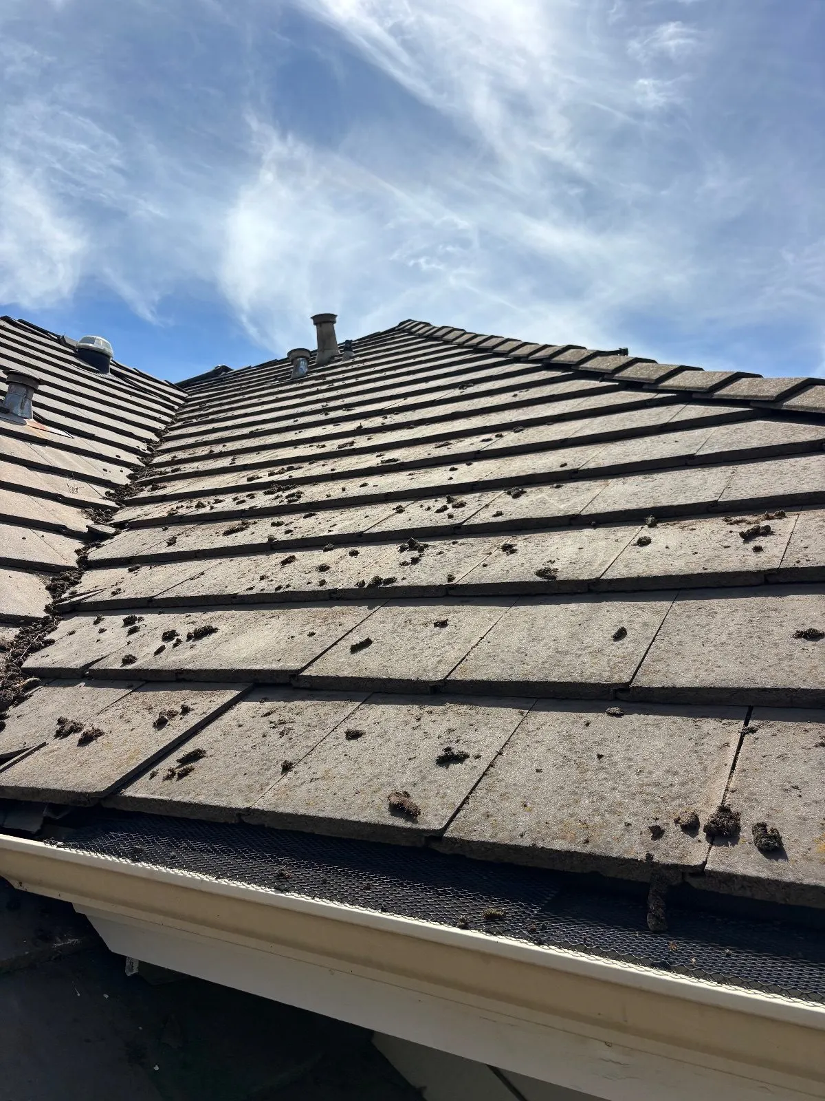 After — Gutter Cleaning and Maintenance in Sacramento, CA — August 2026