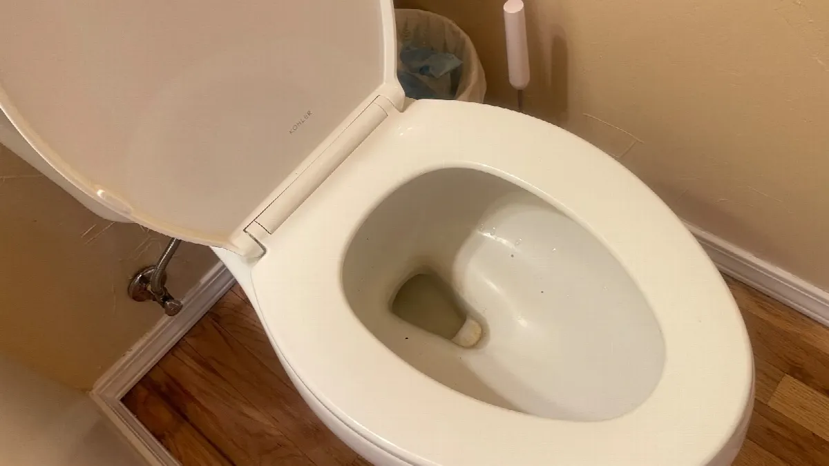 Before — House Cleaning in Camas, WA — August 2026