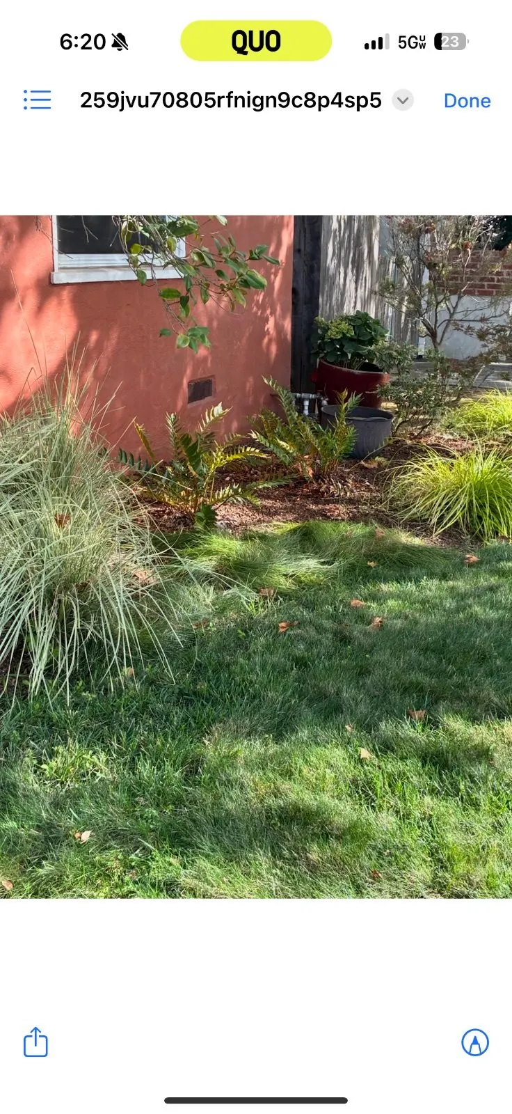 Before — Pressure Washing in Sacramento, CA — August 2026