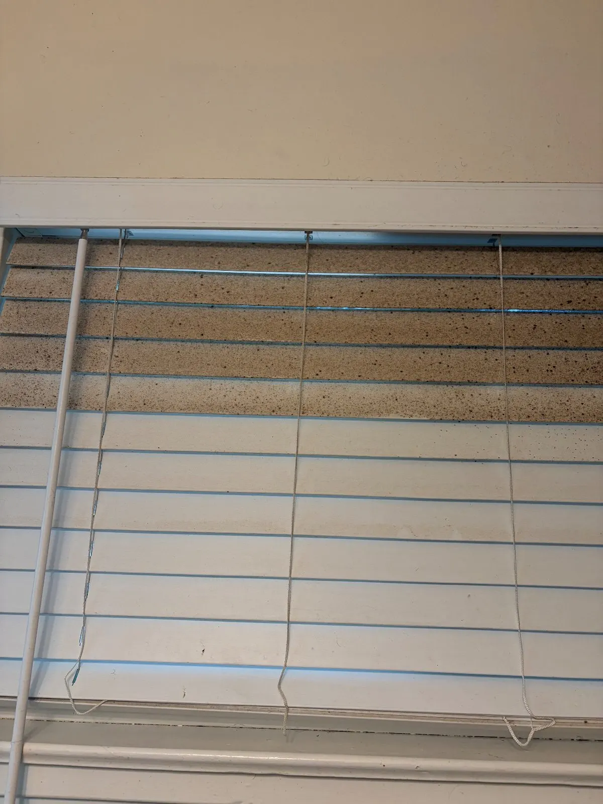 Before — House Cleaning in Sacramento, CA — August 2026