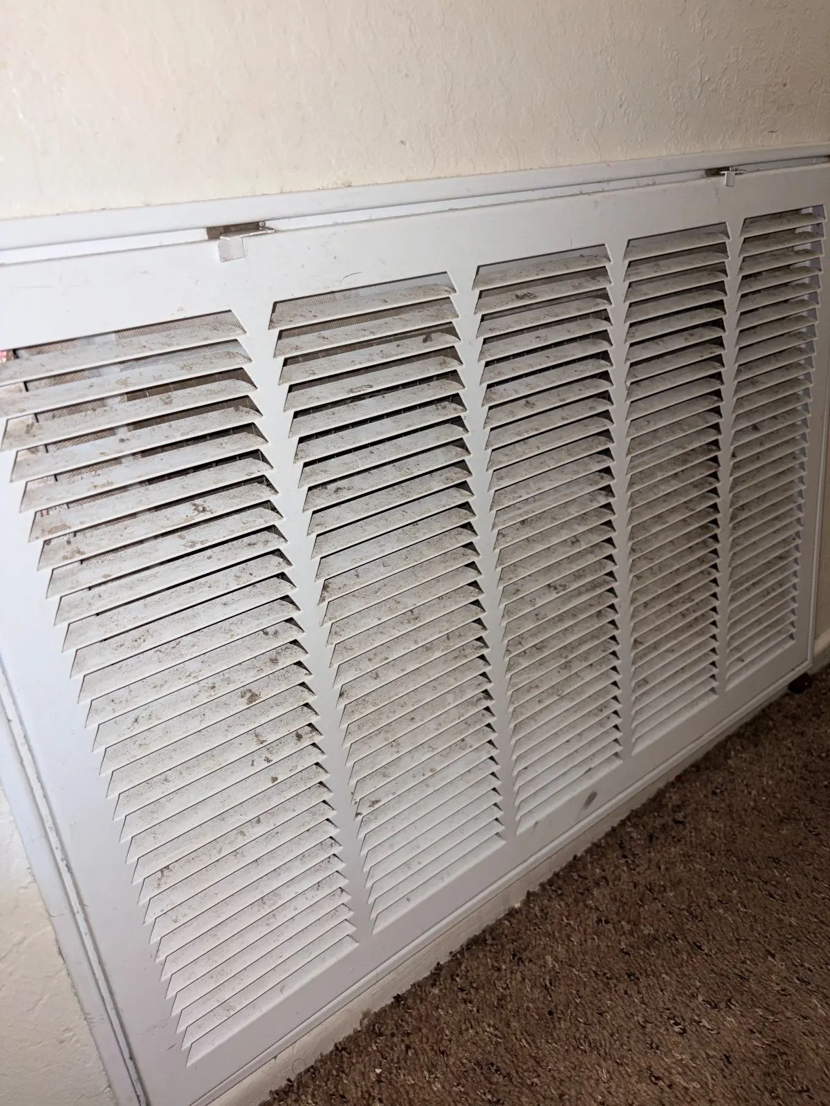 Before — House Cleaning in Sacramento, CA — August 2026
