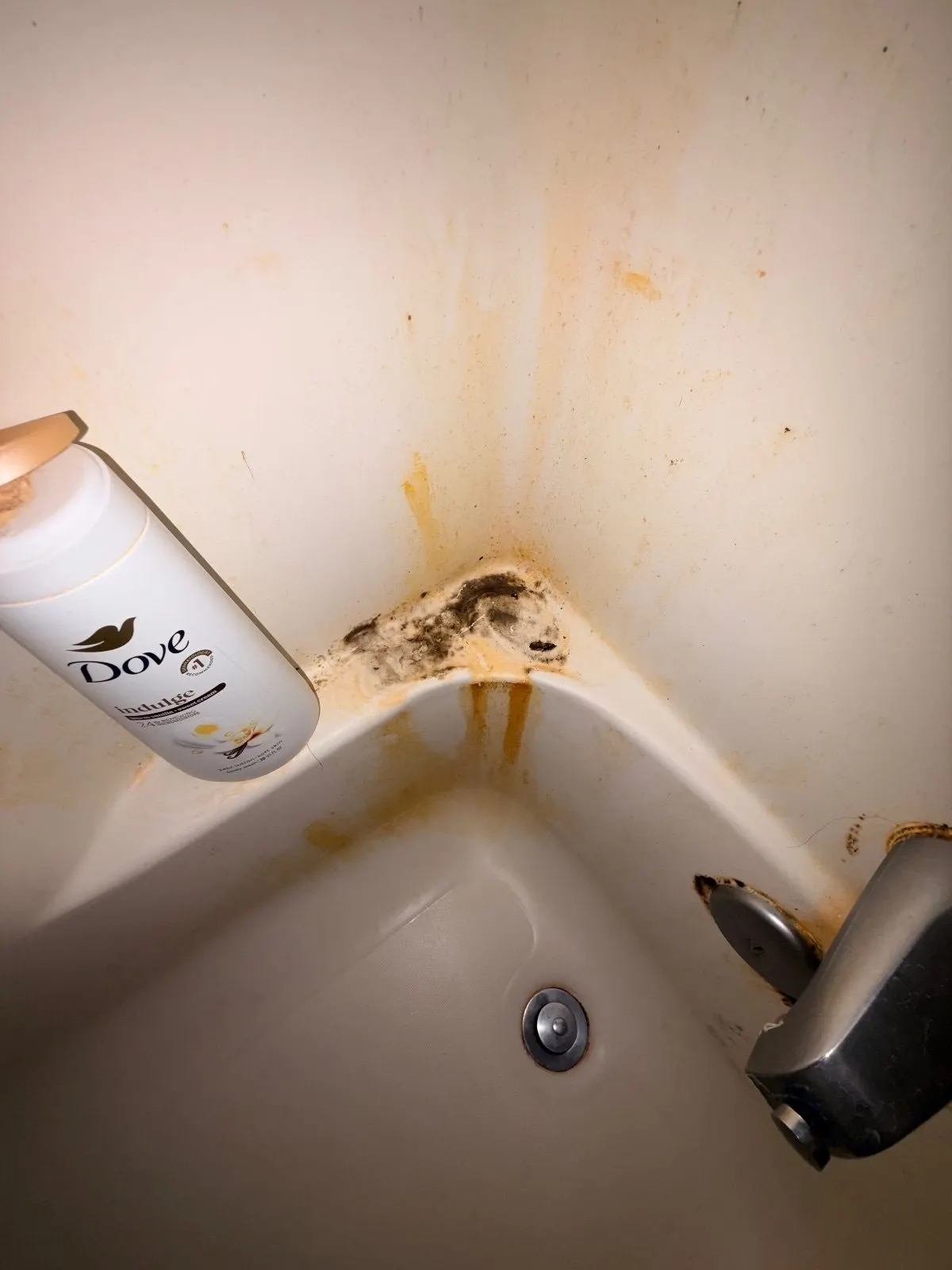Before — House Cleaning in Davis, CA — August 2026
