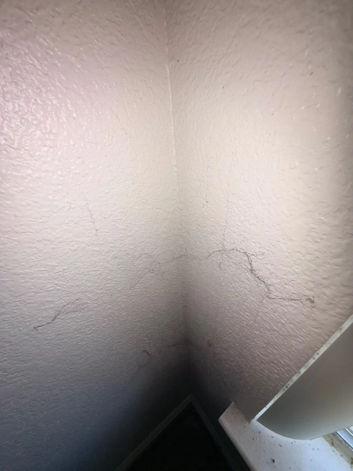Before — House Cleaning in Davis, CA — August 2026