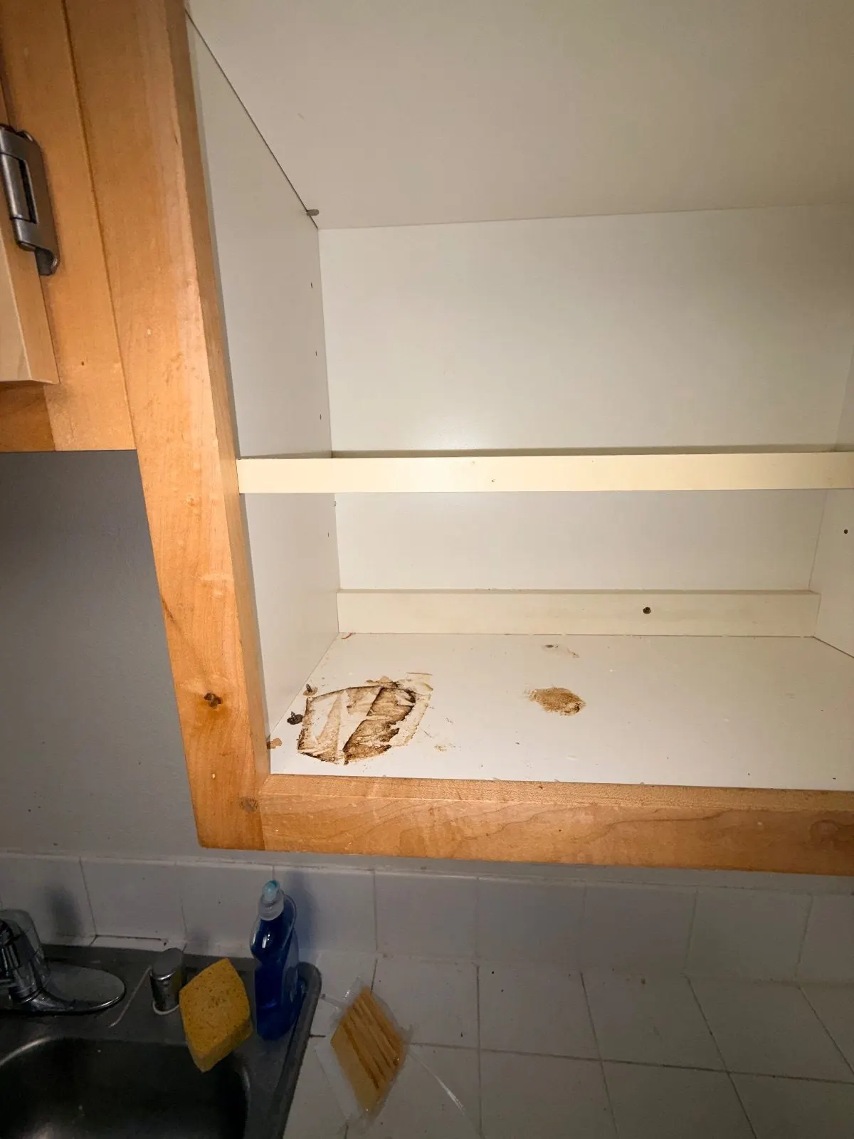 Before — House Cleaning in Davis, CA — August 2026