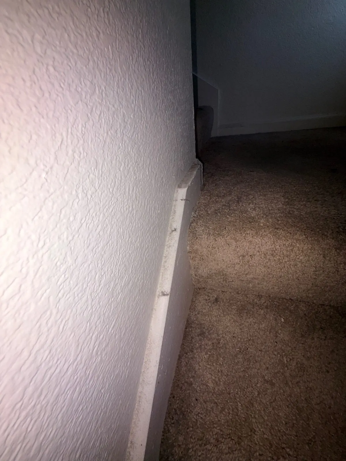 Before — House Cleaning in Davis, CA — August 2026