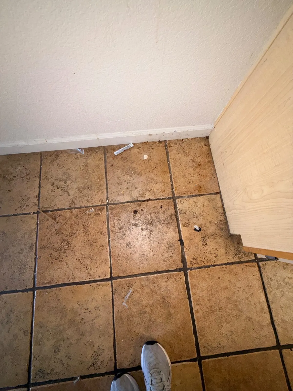 Before — House Cleaning in Davis, CA — August 2026