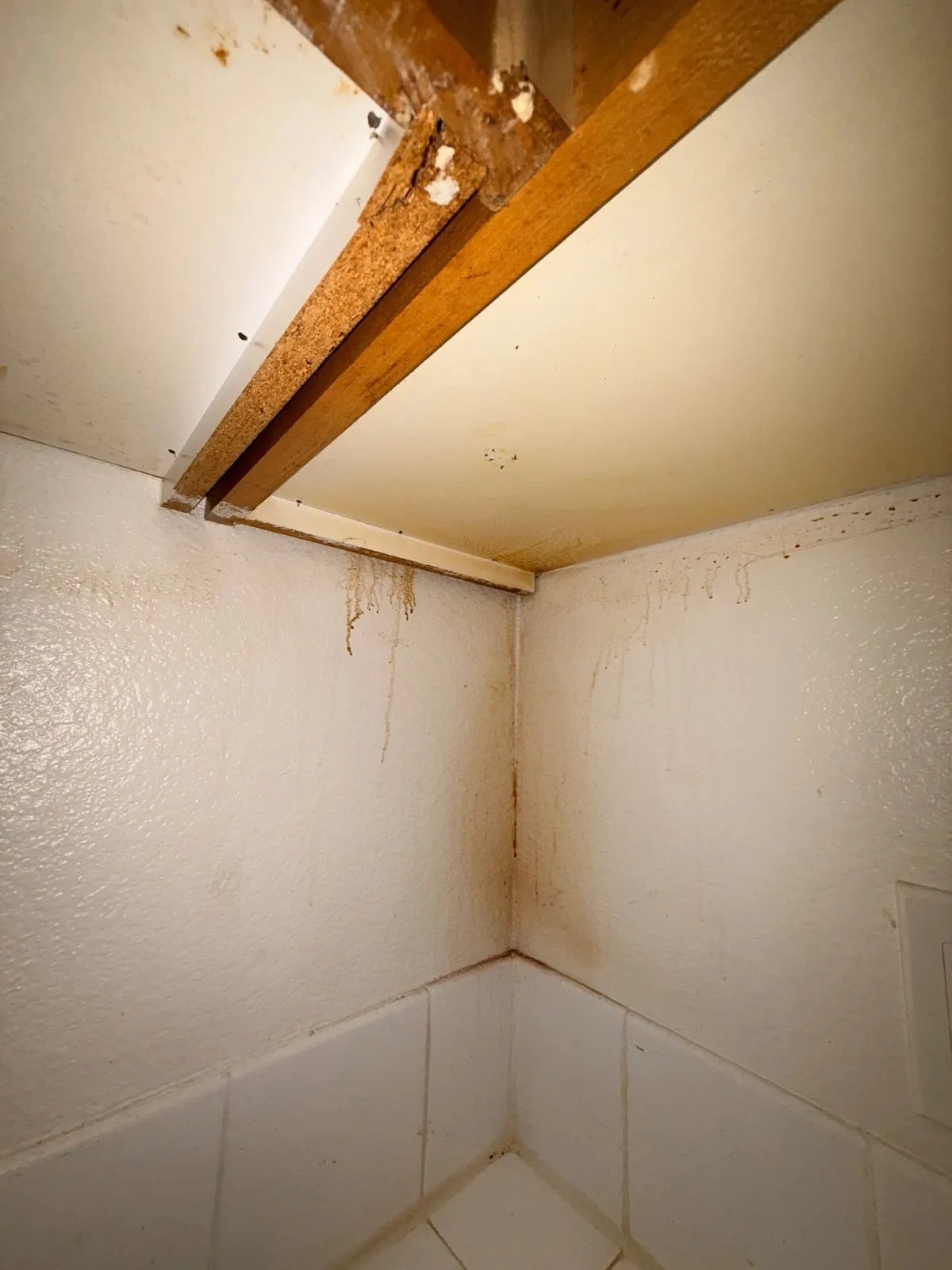 Before — House Cleaning in Davis, CA — August 2026