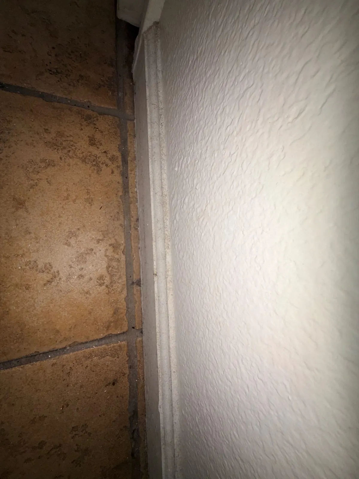 Before — House Cleaning in Davis, CA — August 2026