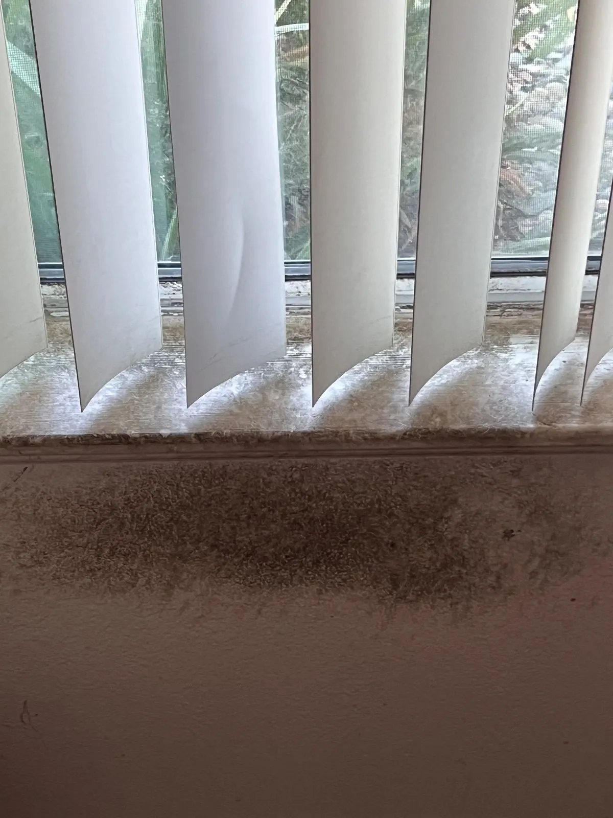 Before — House Cleaning in Davis, CA — August 2026