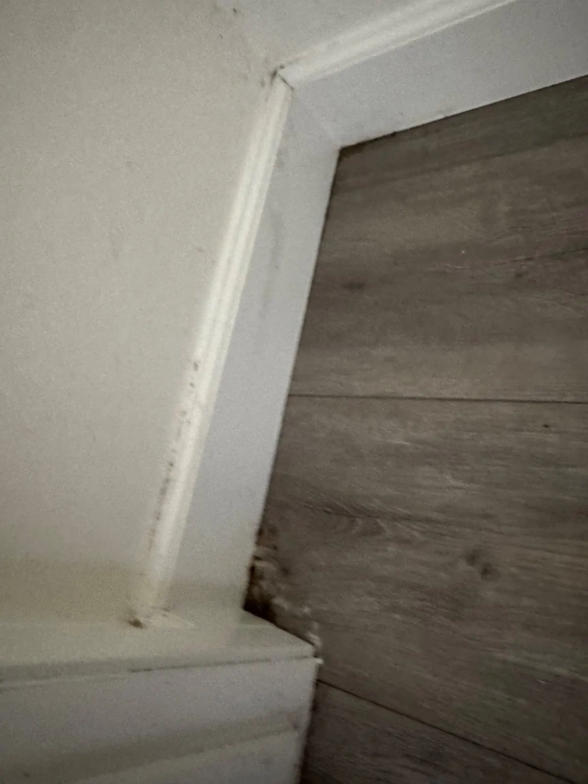 Before — House Cleaning in Sacramento, CA — August 2026