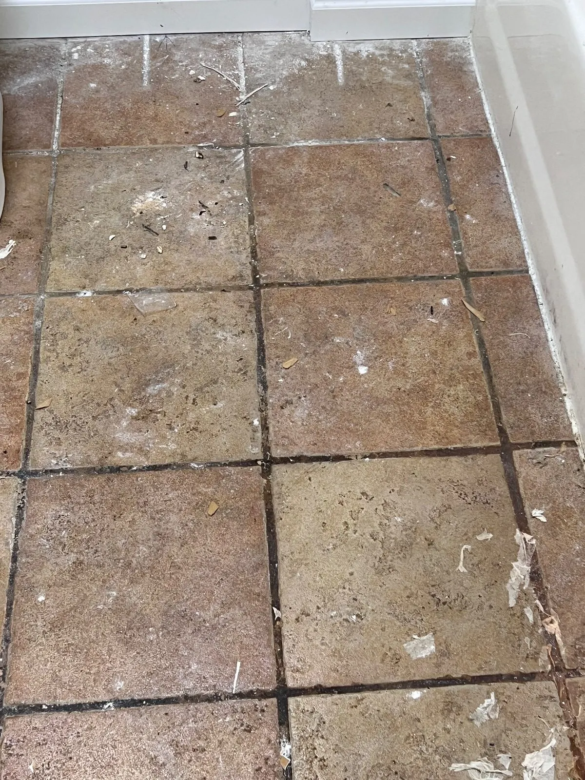 Before — House Cleaning in Davis, CA — August 2026