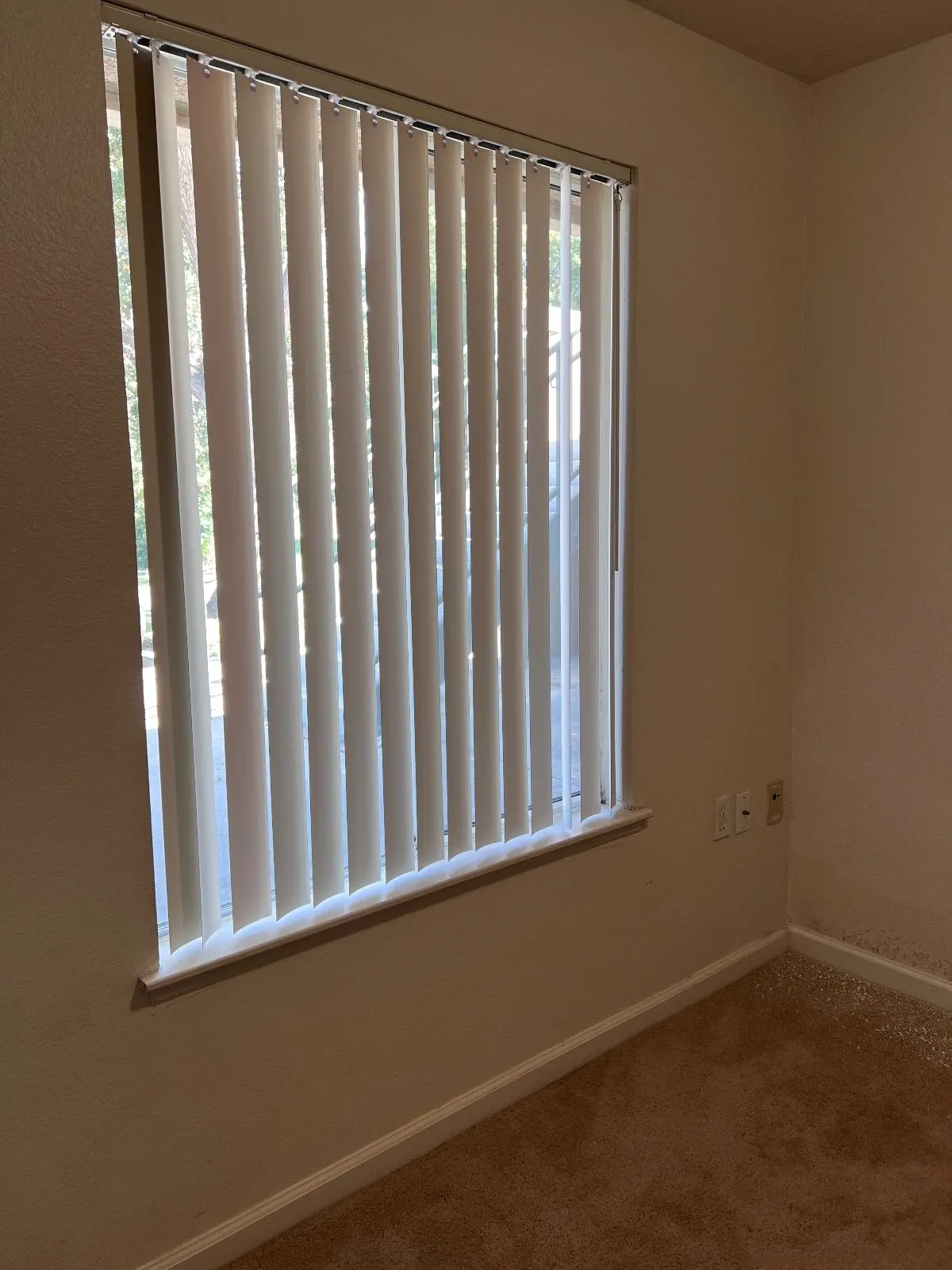 After — House Cleaning in Davis, CA — August 2026
