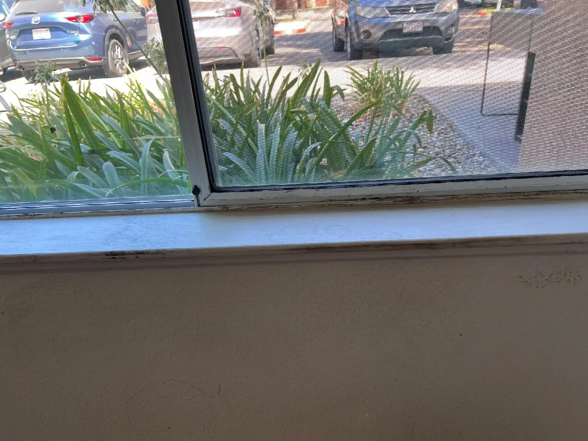 After — House Cleaning in Davis, CA — August 2026