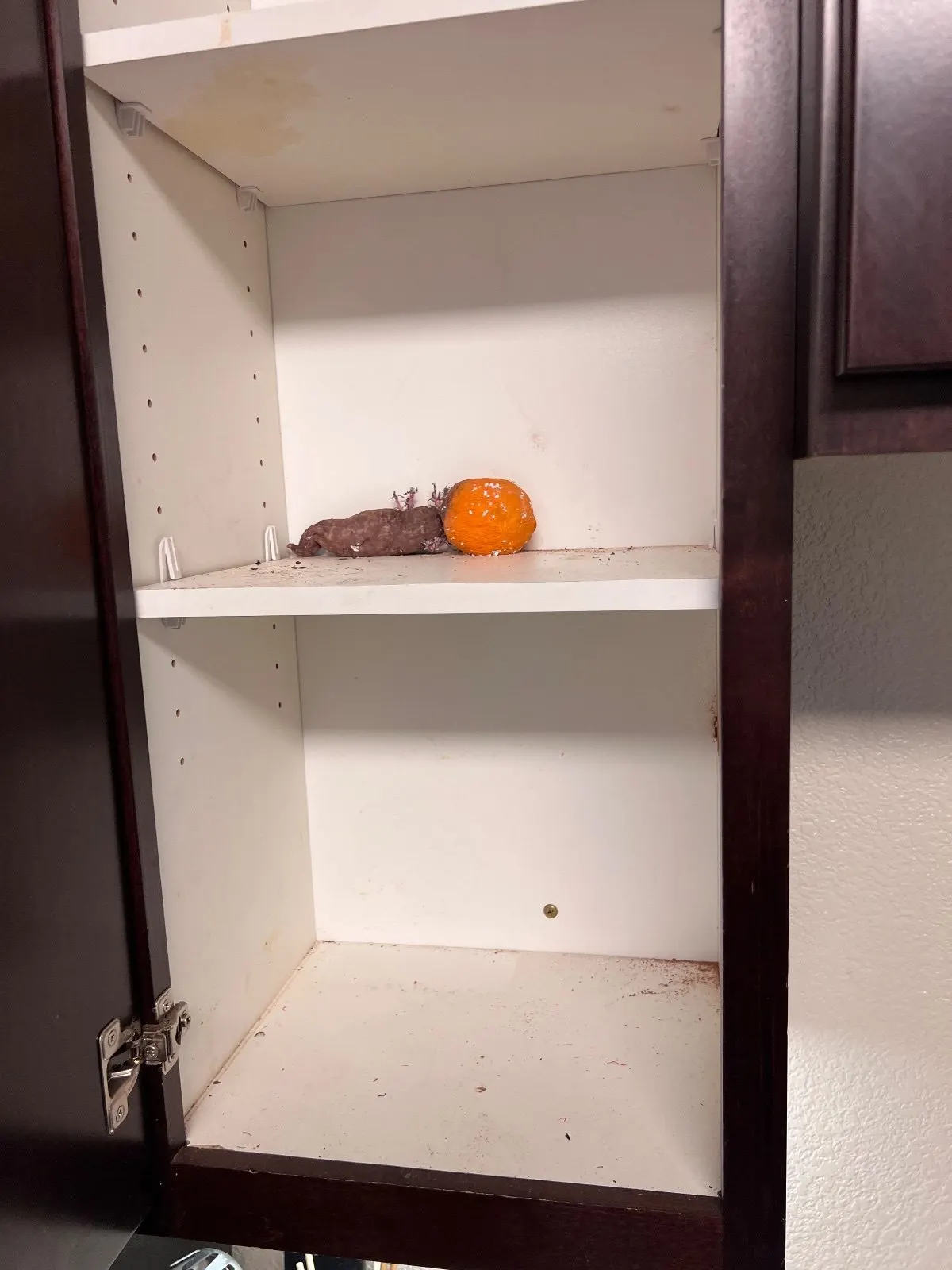 Before — House Cleaning in Davis, CA — August 2026