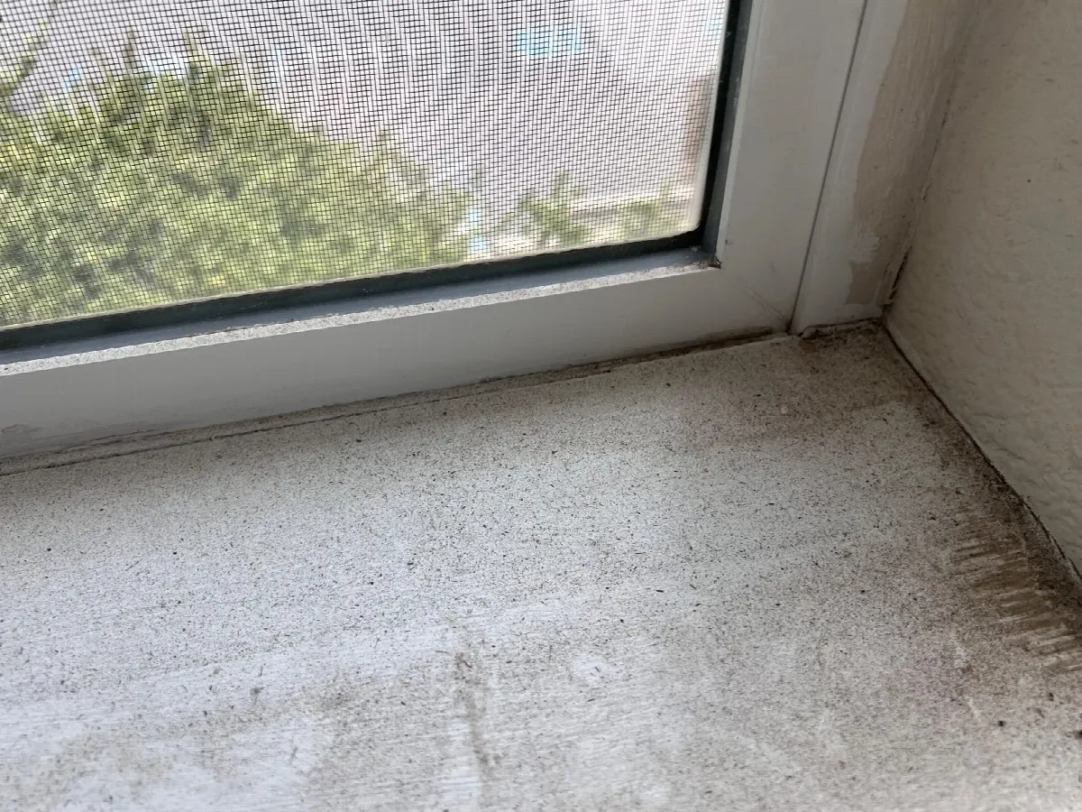 Before — House Cleaning in Davis, CA — August 2026