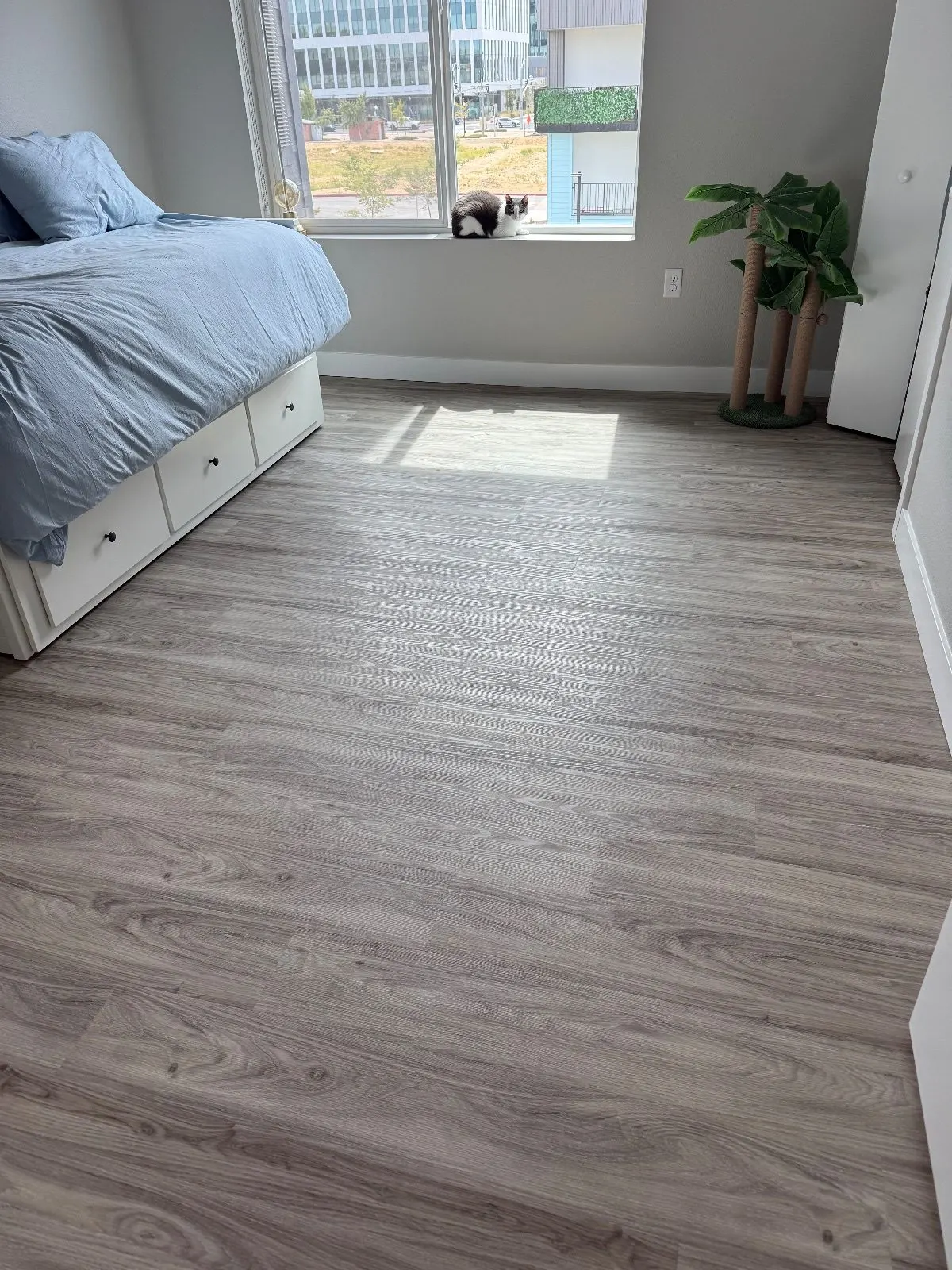 After — House Cleaning in Sacramento, CA — August 2026